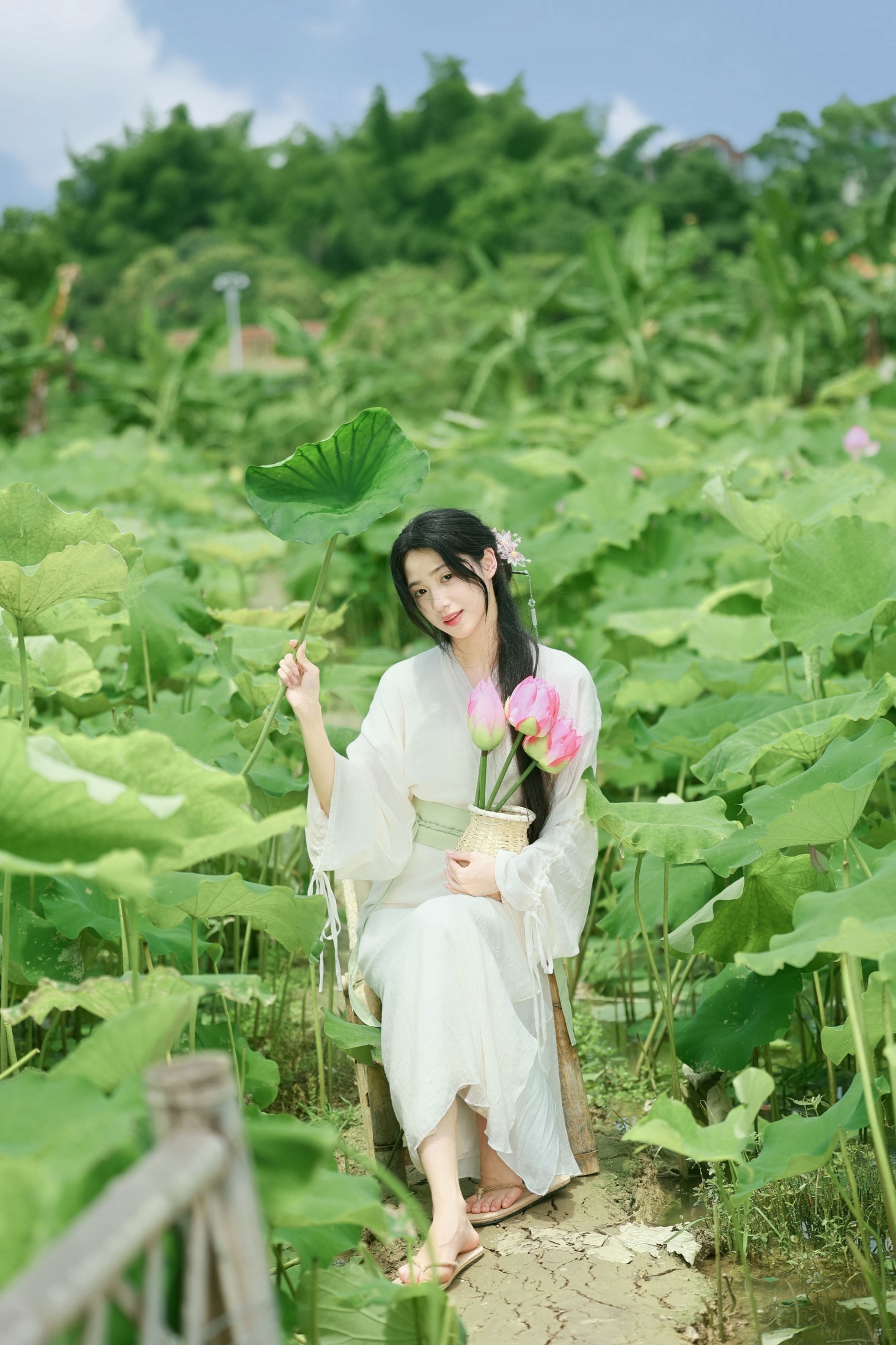 《荷风入夏｜误入一池江南诗意》[14P]