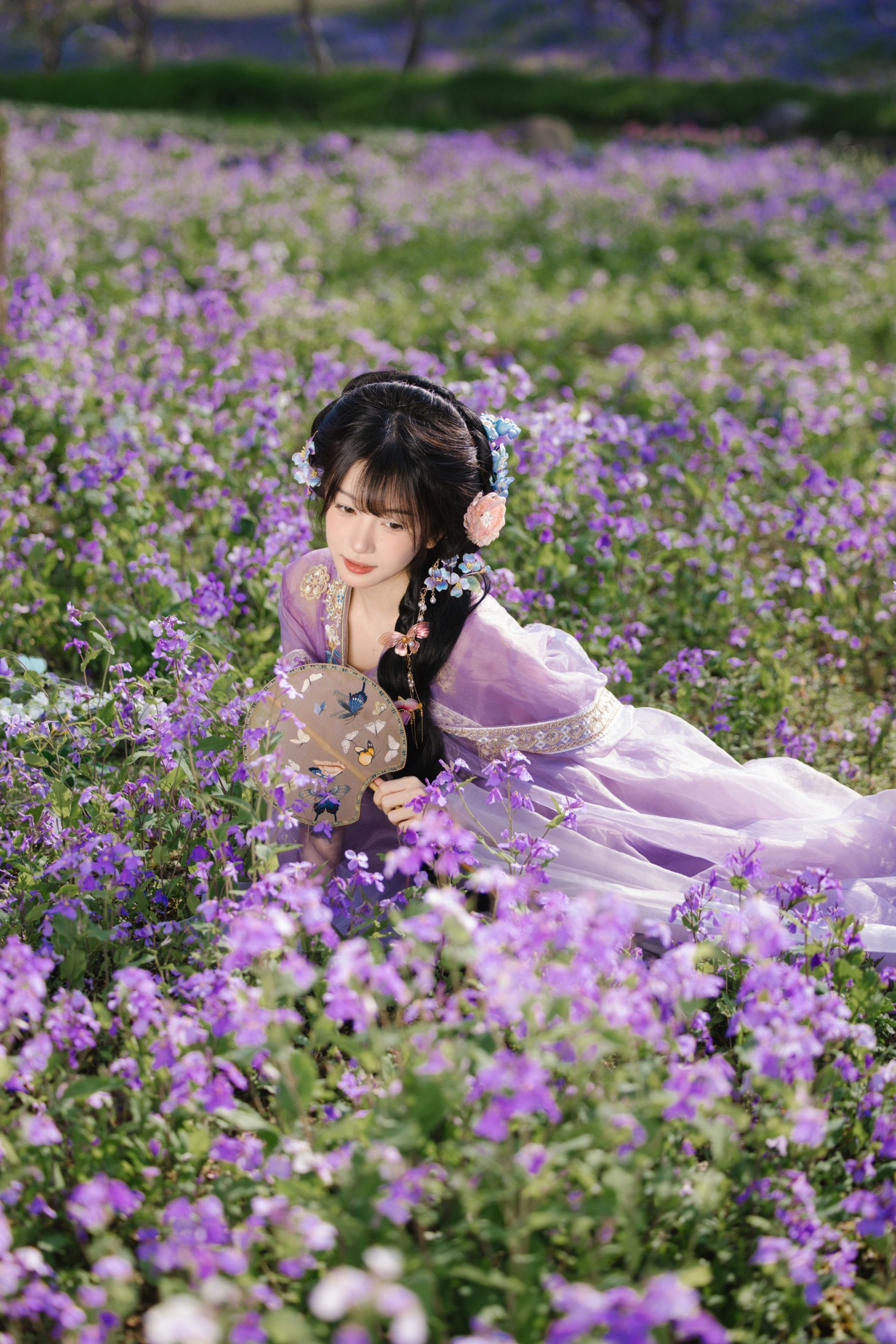 《花开二月兰》[24P]