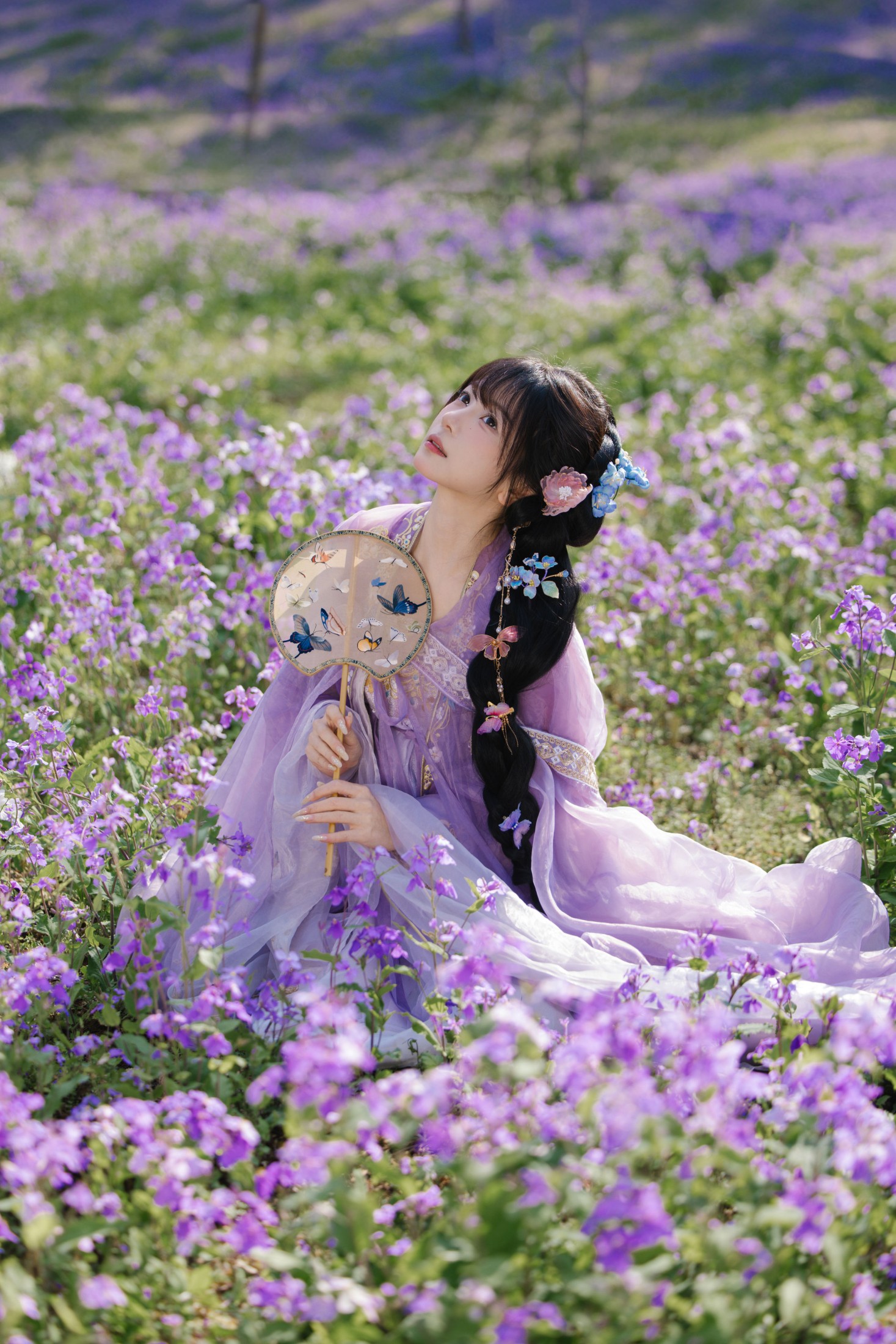 《花开二月兰》[24P]