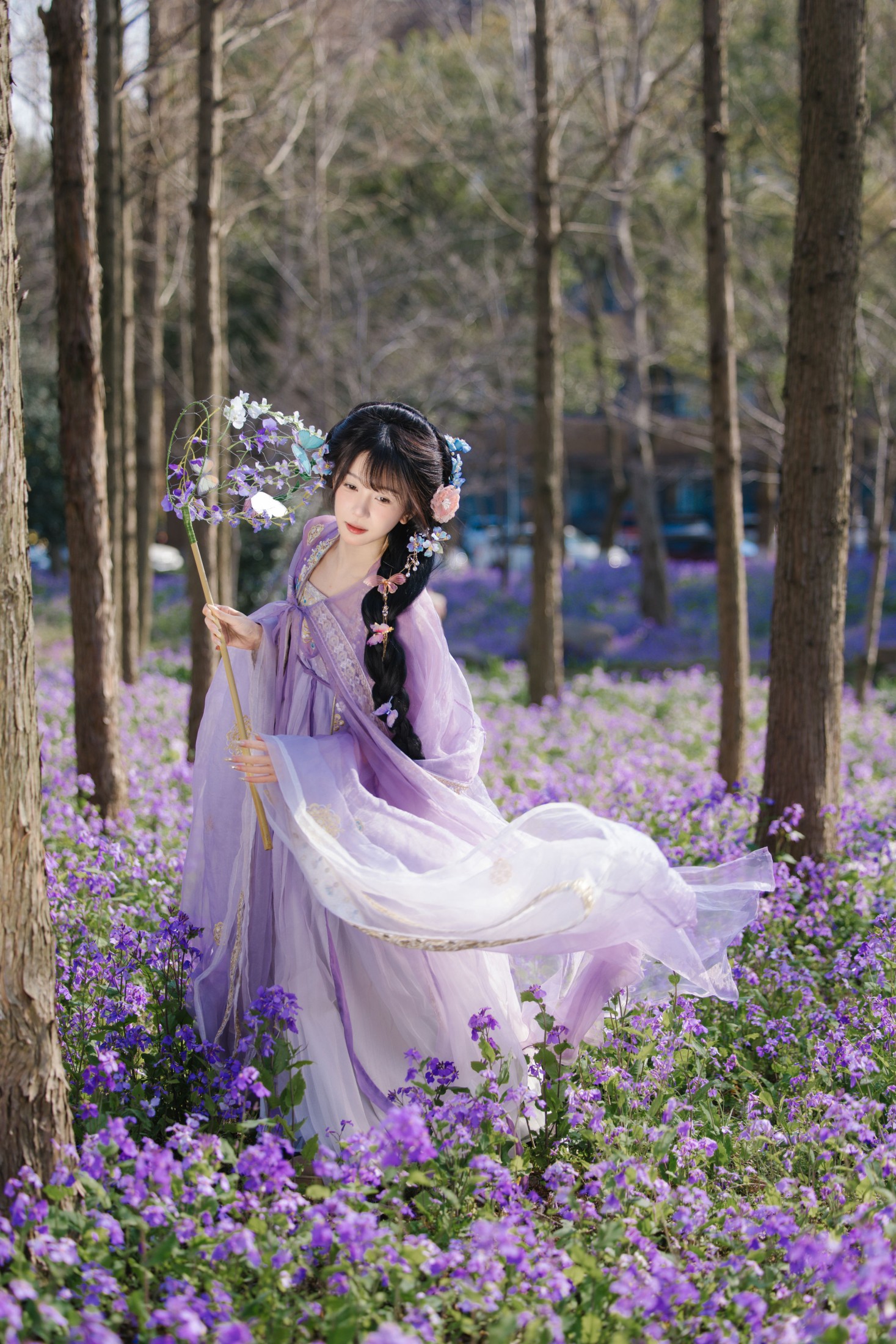 《花开二月兰》[24P]