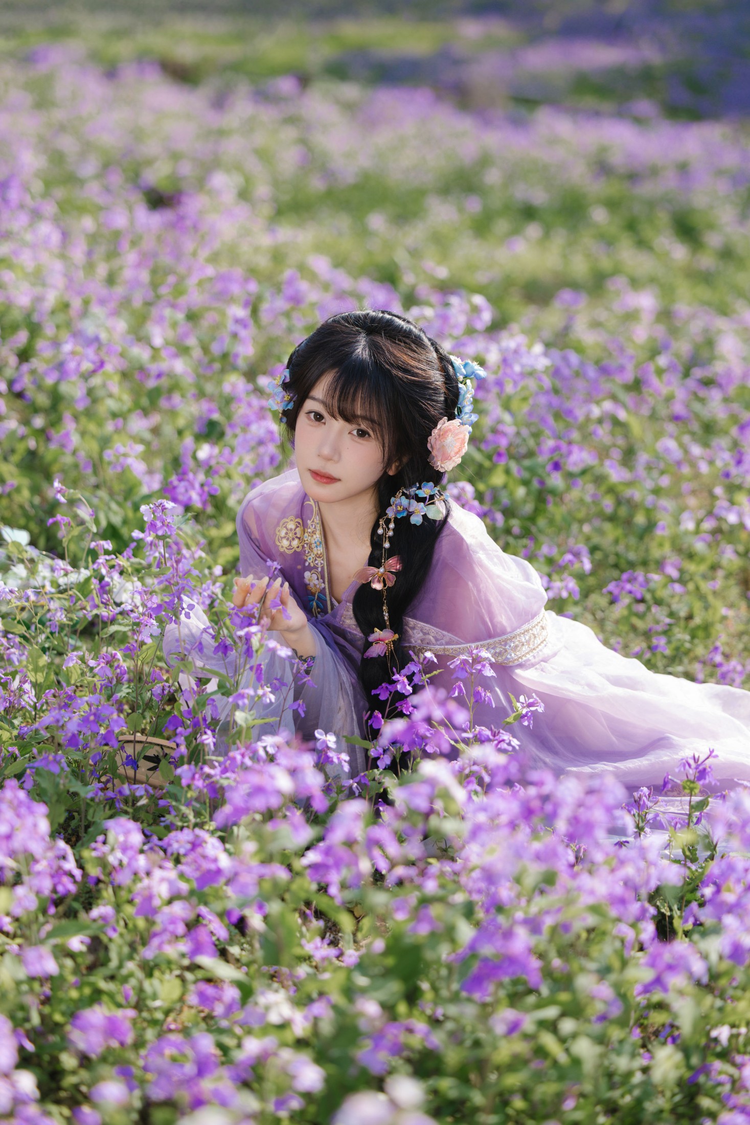 《花开二月兰》[24P]