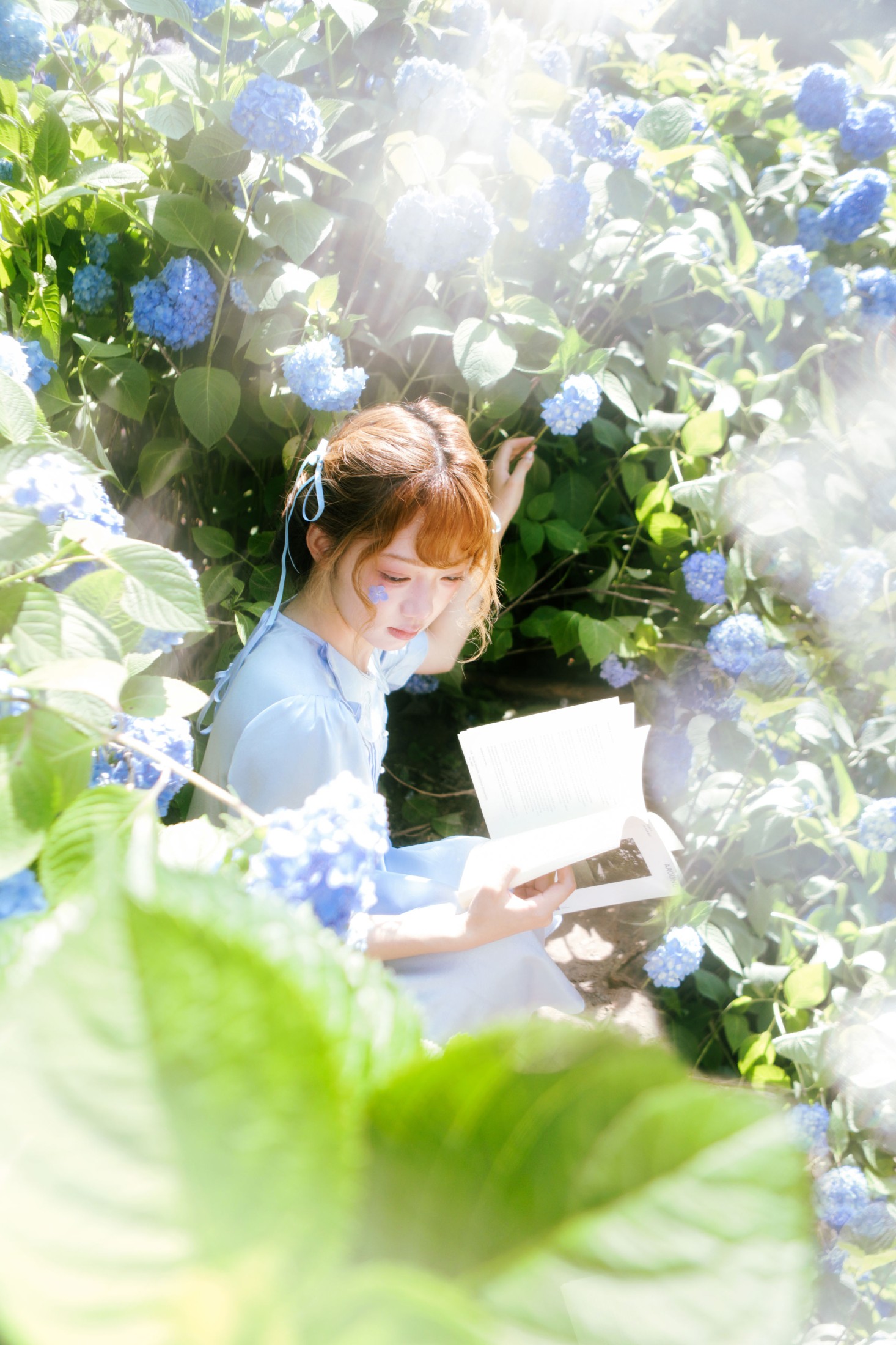 《Endless  Summer》[42P]