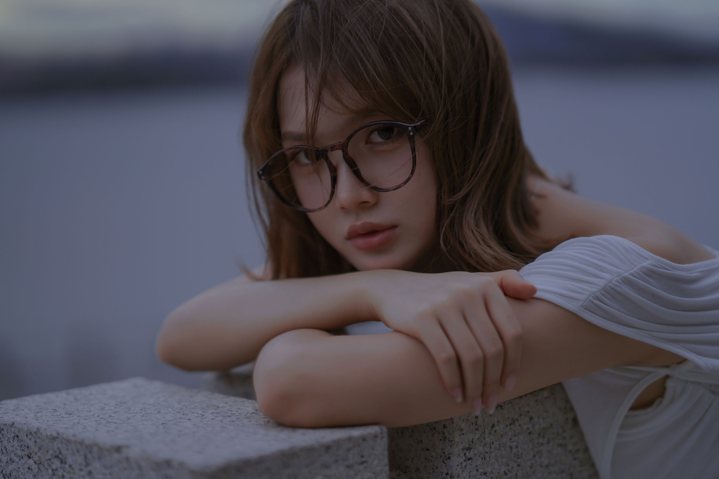 《书里总爱写到喜出望外的傍晚》[22P]