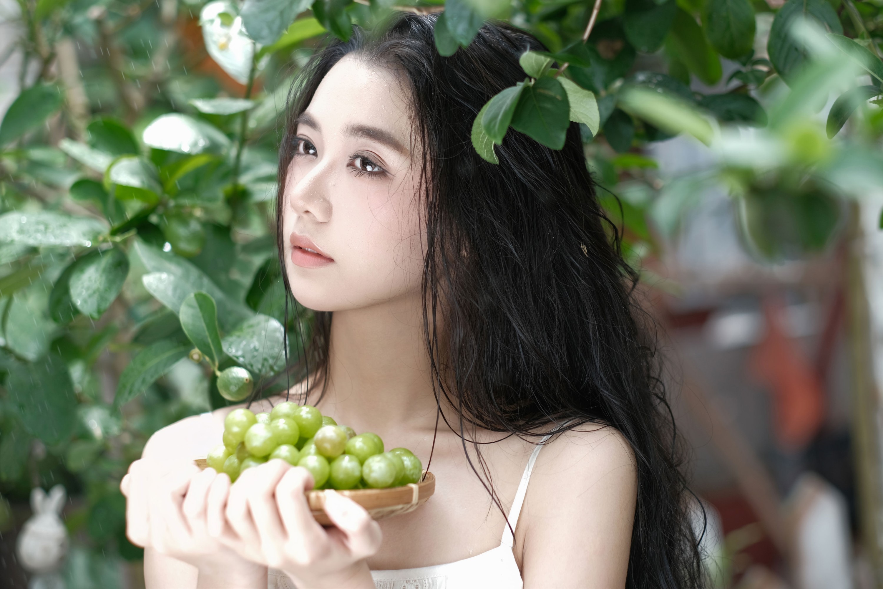 《青提日记》[23P]