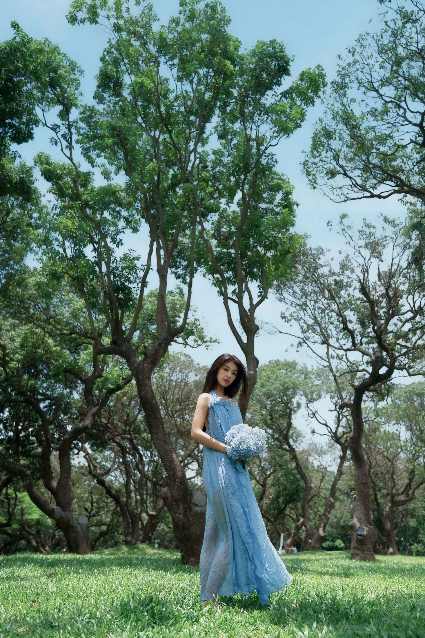 《盛夏林间邂逅一抹海蓝》[13P]