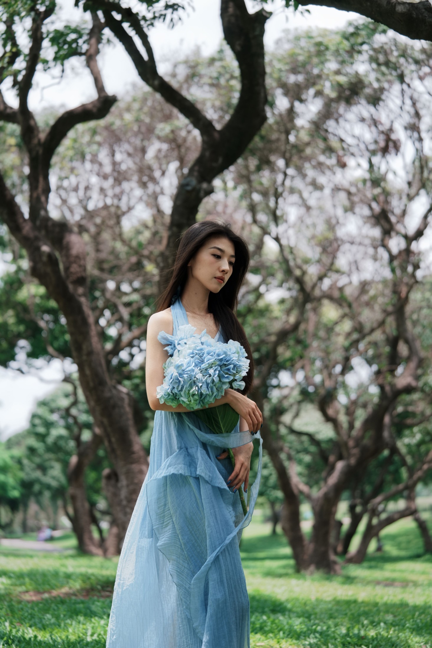 《盛夏林间邂逅一抹海蓝》[13P]