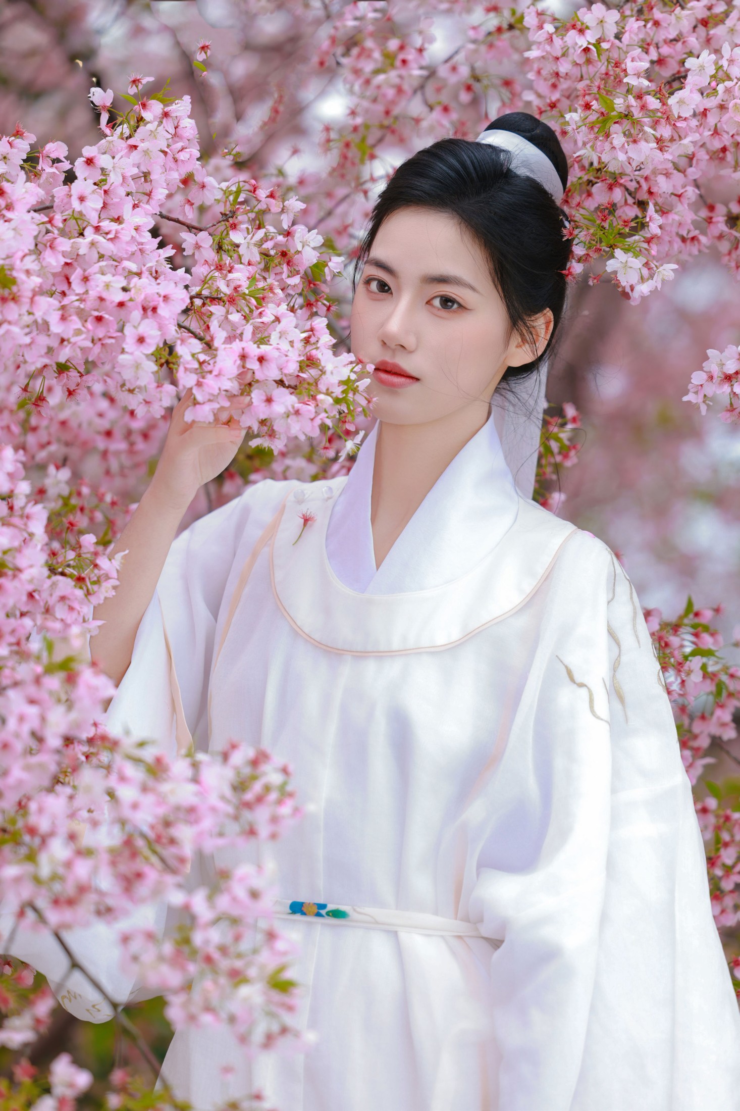 《樱花树下白衣卿》[42P]