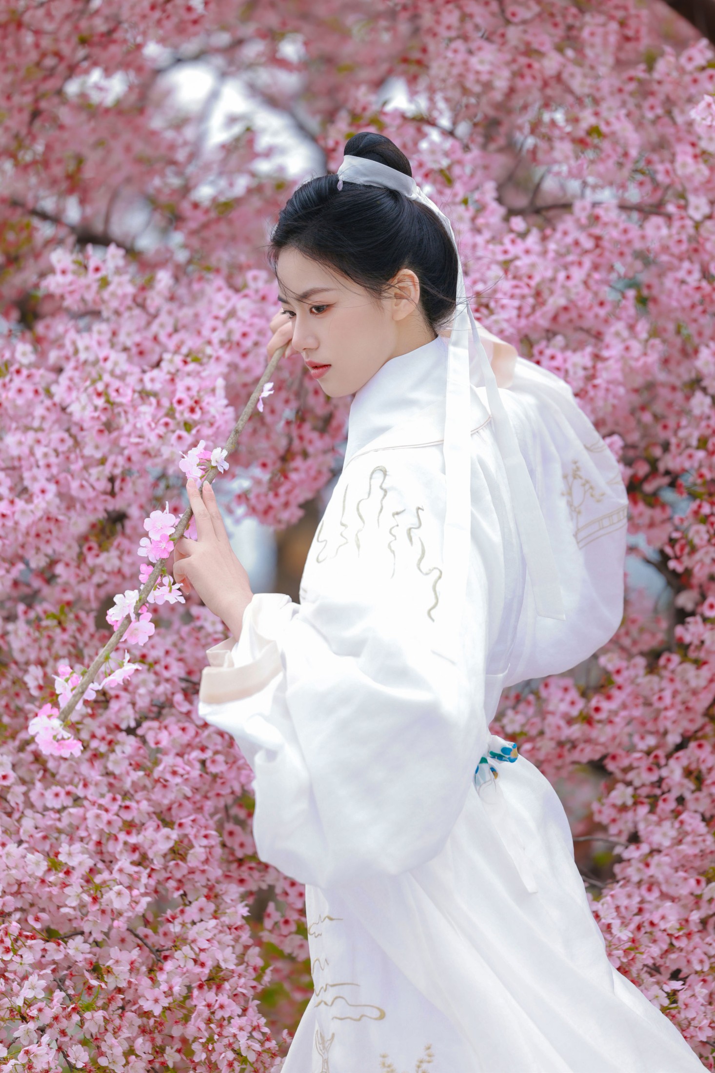 《樱花树下白衣卿》[42P]