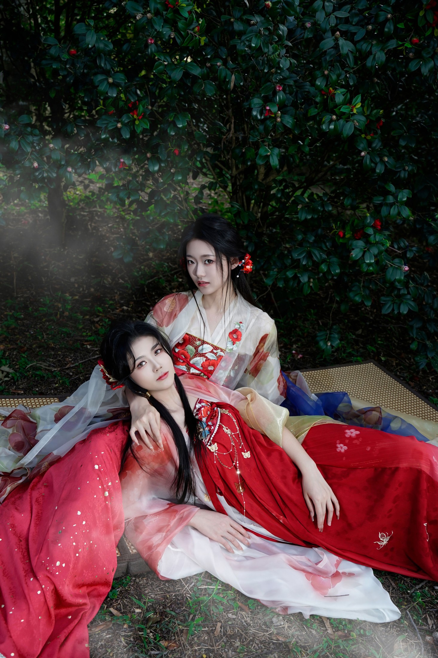 《山茶花花神双姝》[20P]