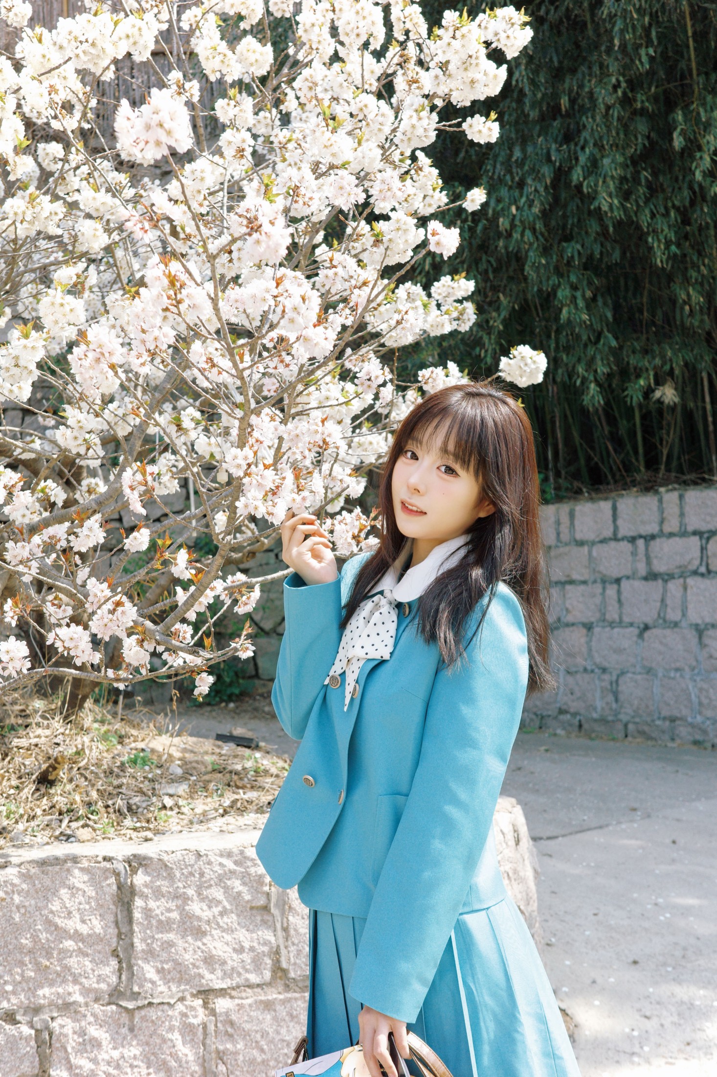 《樱花樱花想见你》[26P]