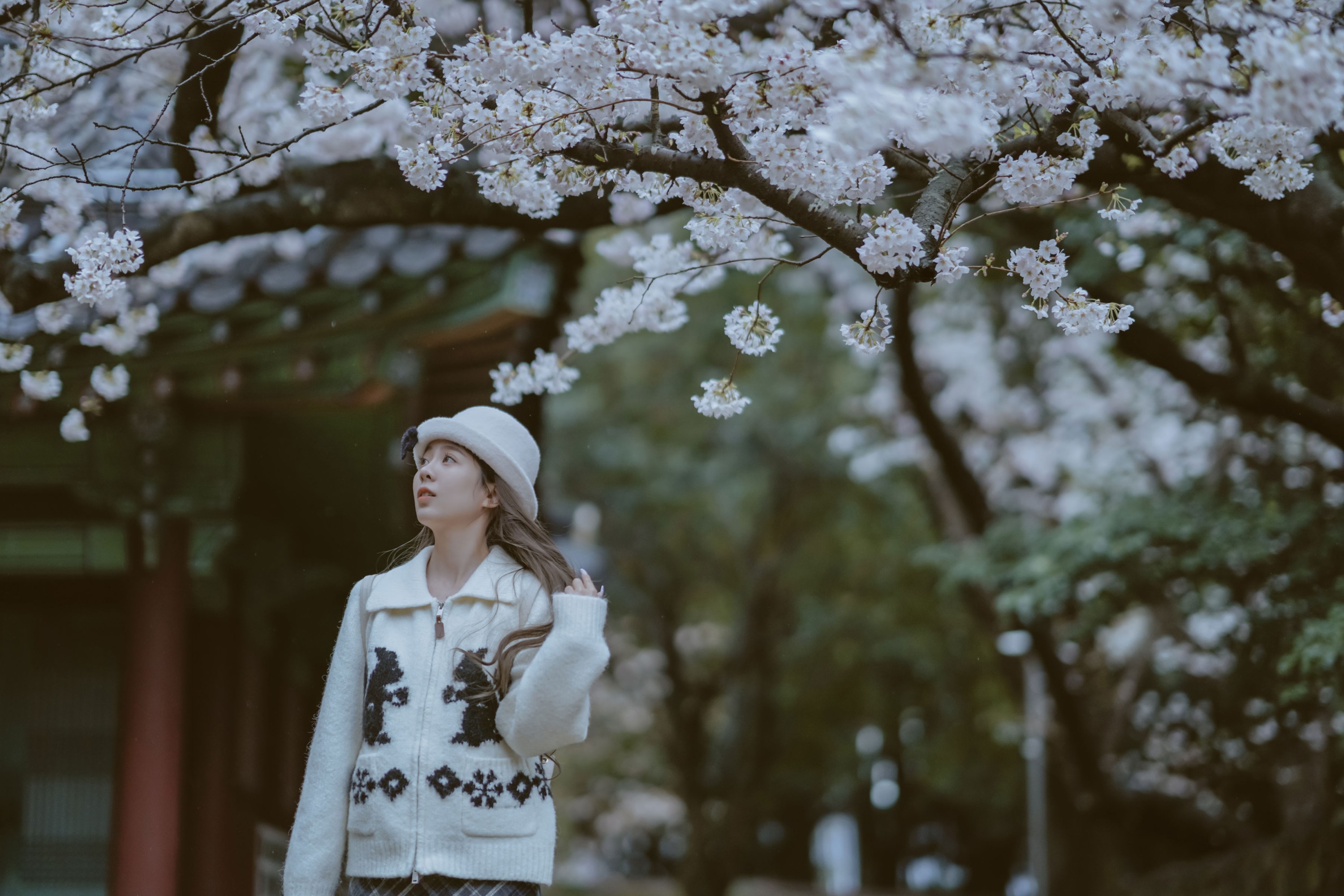 《是花开的那一天》[11P]