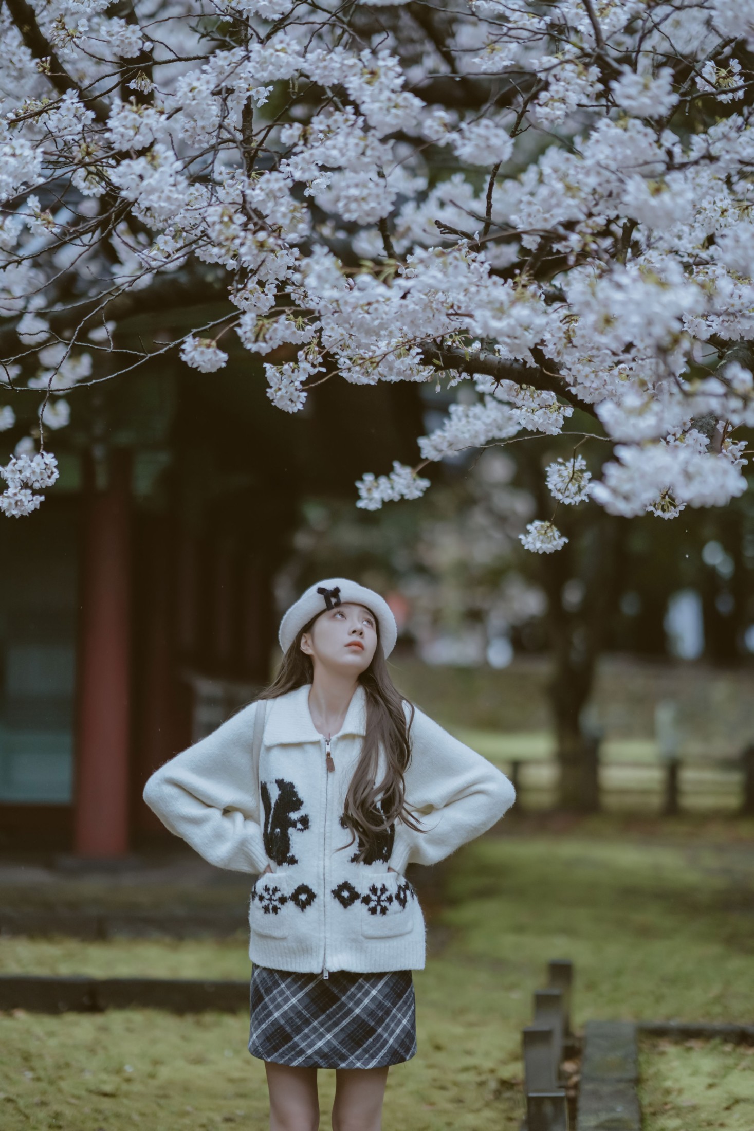《是花开的那一天》[11P]