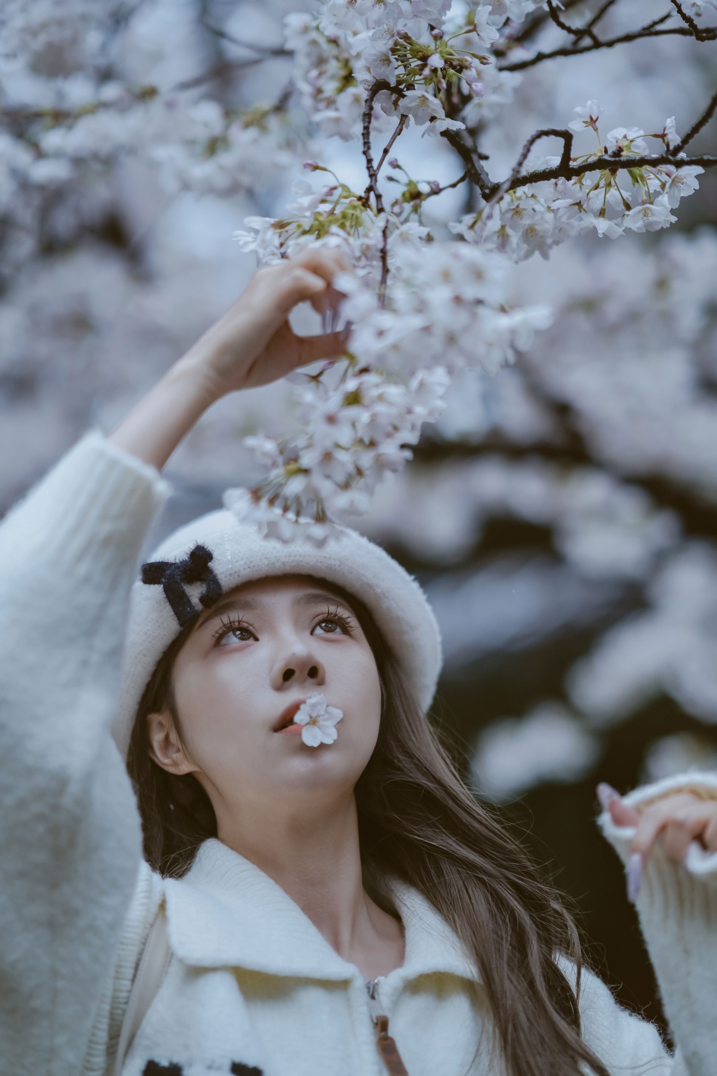 《是花开的那一天》[11P]