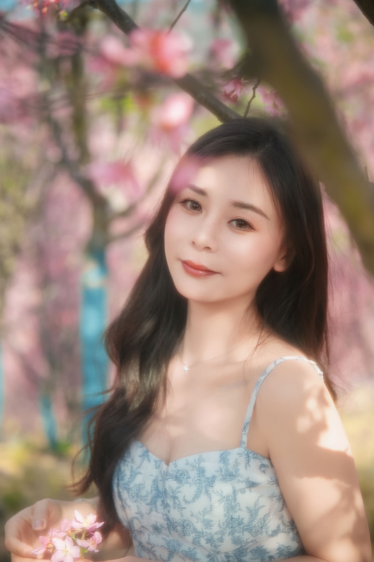 《樱花》[9P]