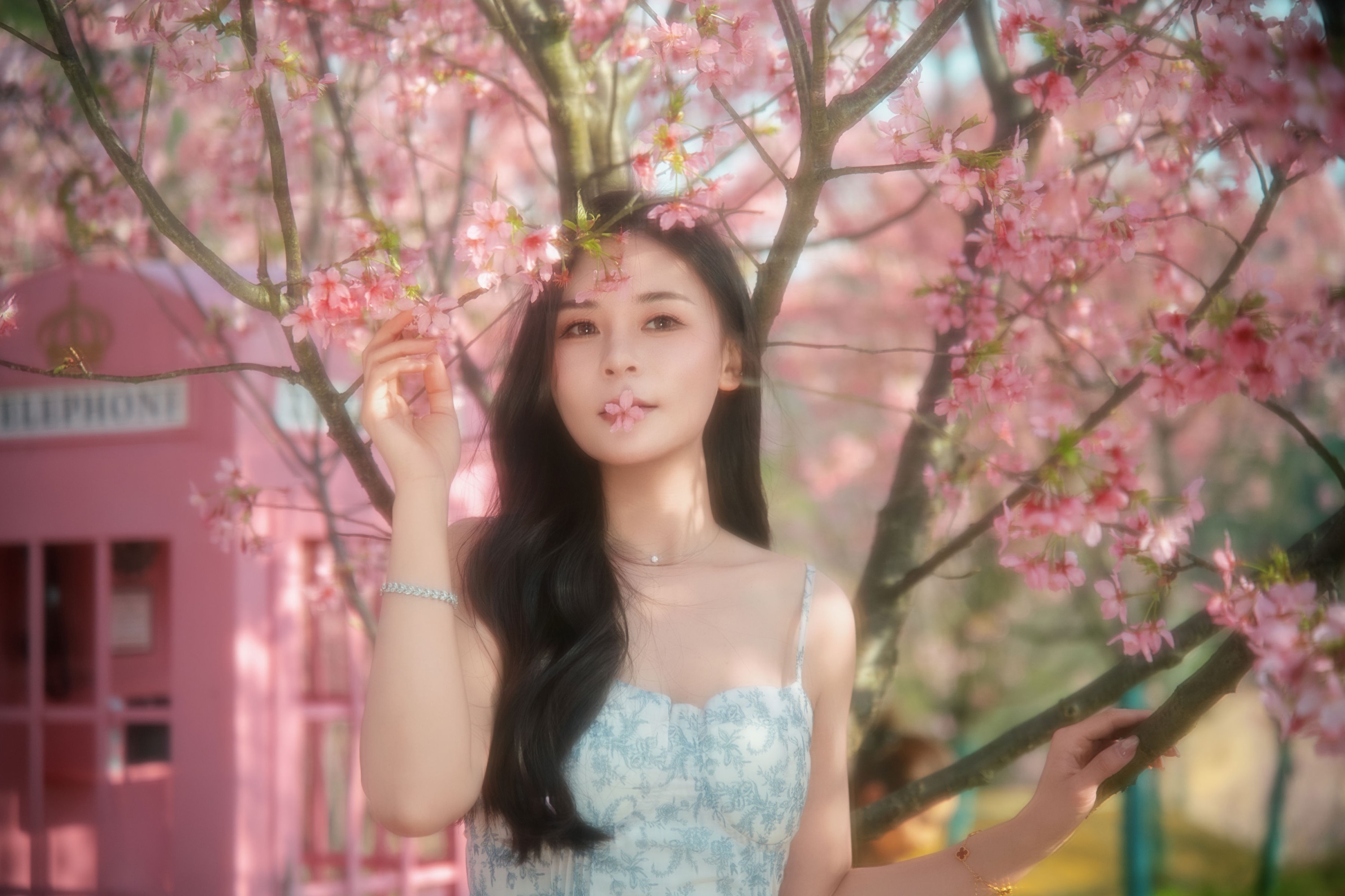 《樱花》[9P]