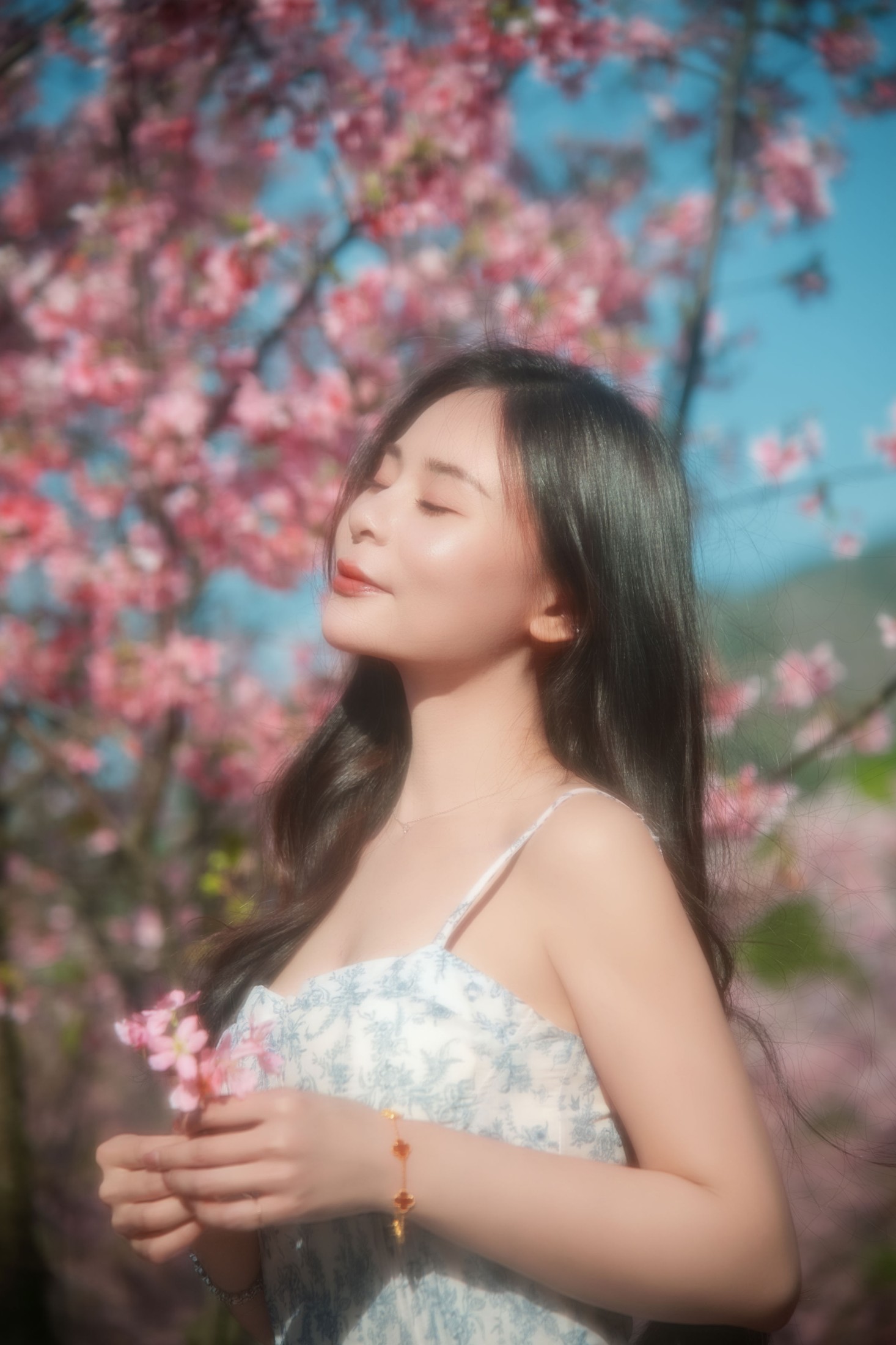 《樱花》[9P]