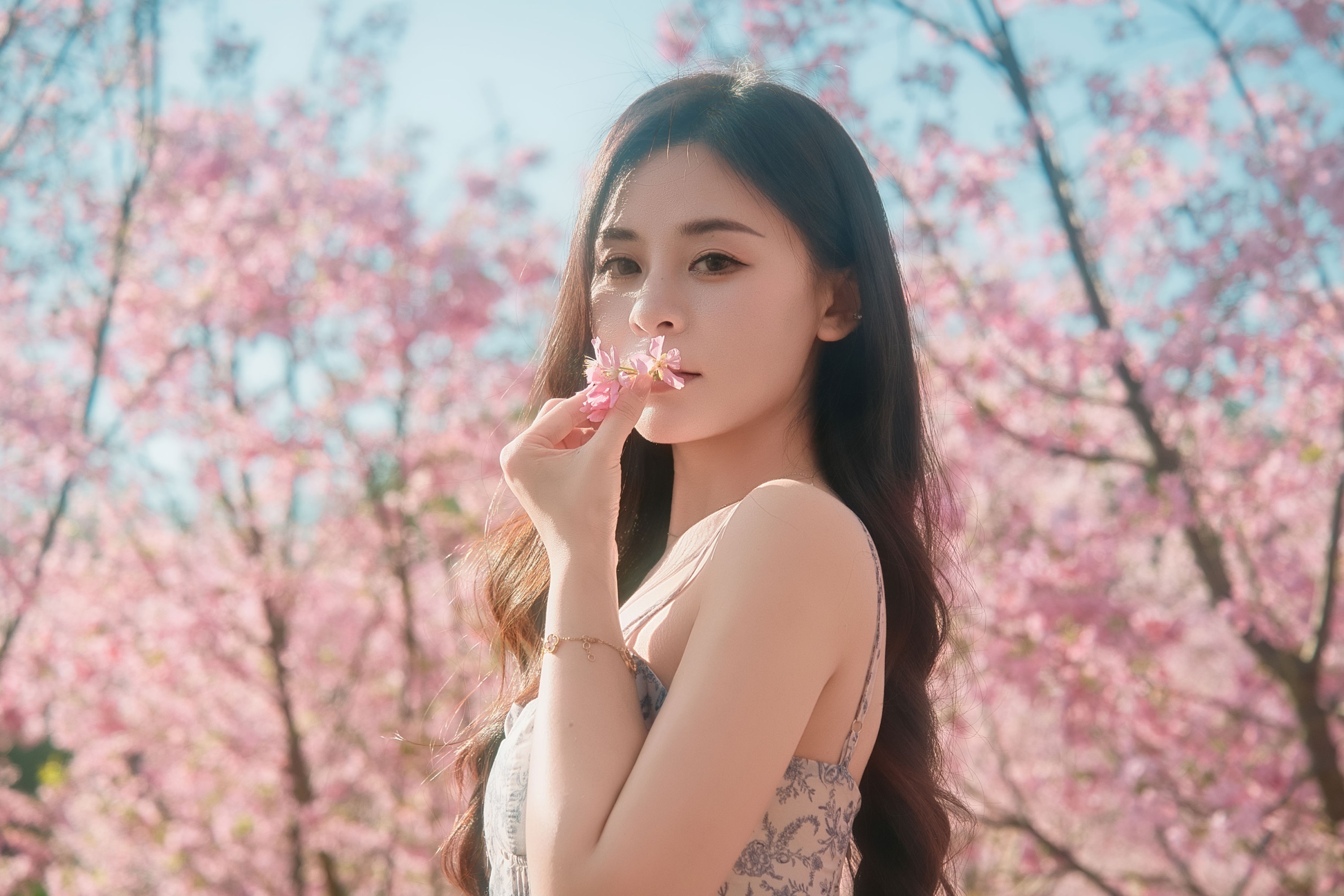 《樱花》[9P]