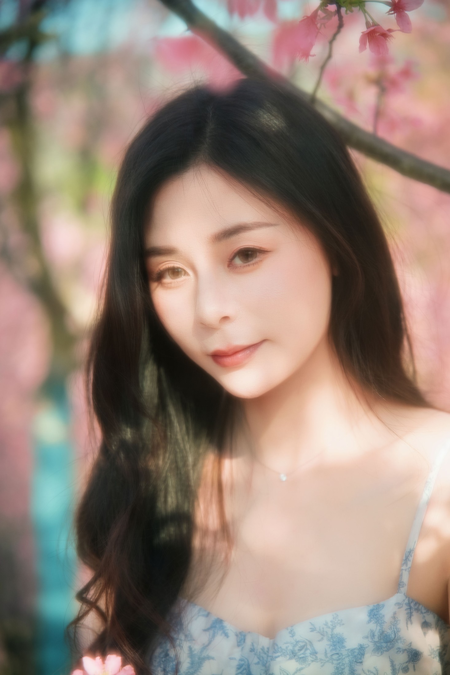 《樱花》[9P]