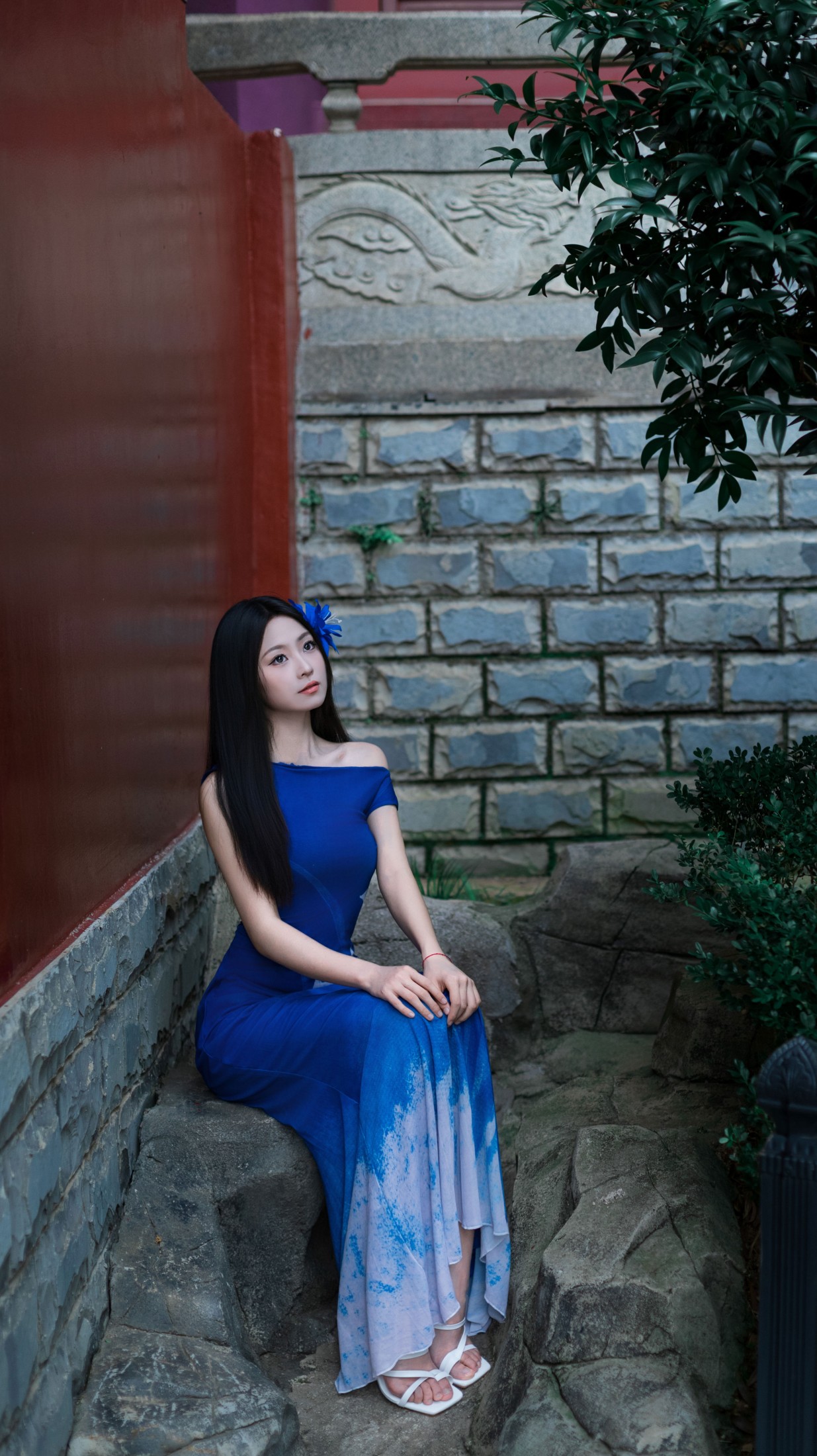 《寄梵音》[40P]