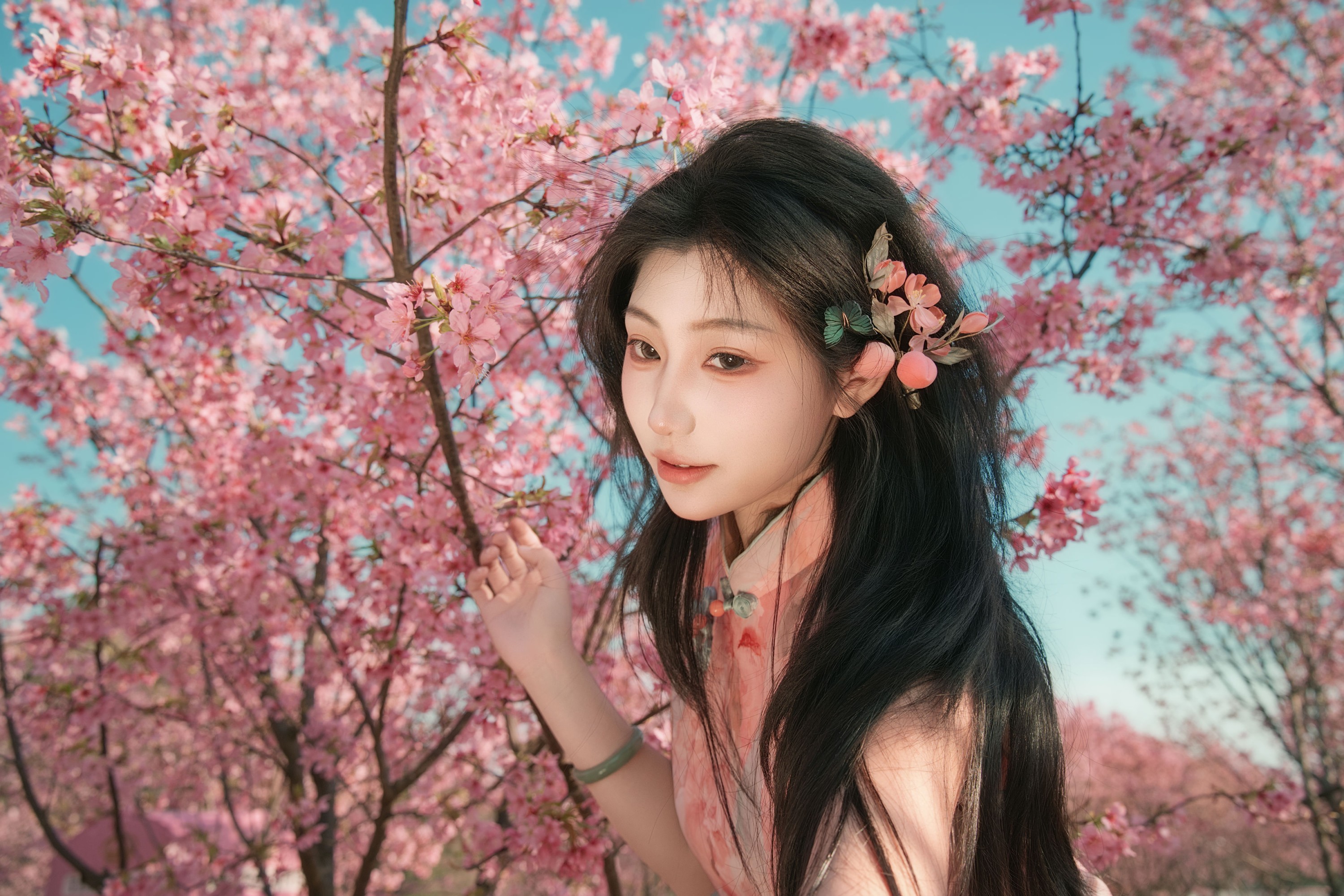 《樱花与旗袍》[14P]