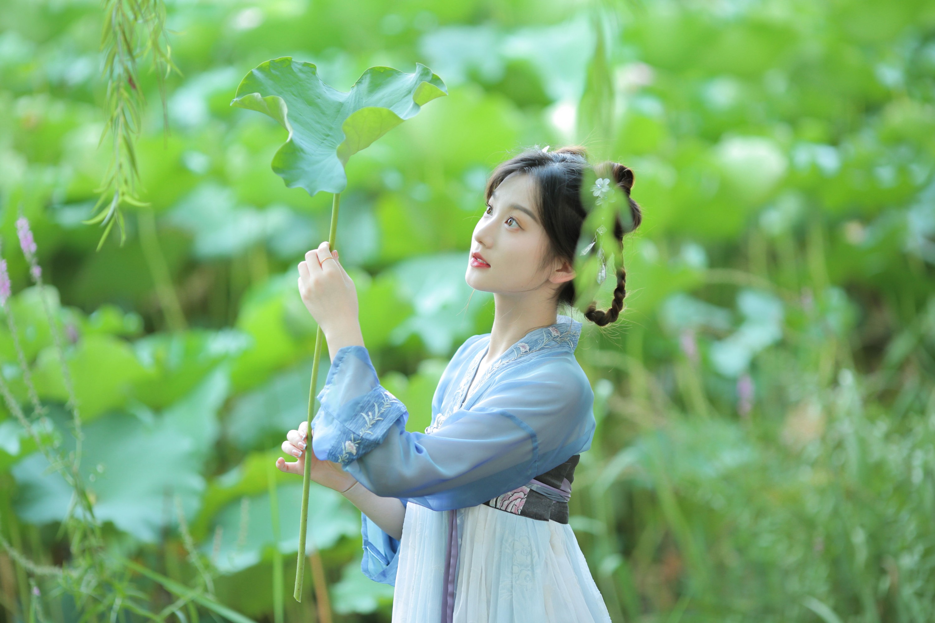 《荷花不知道的是，她就是夏天》[10P]