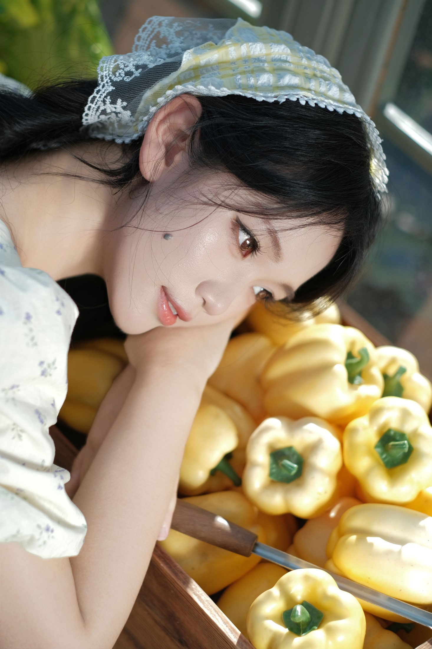 《田园日记》[13P]