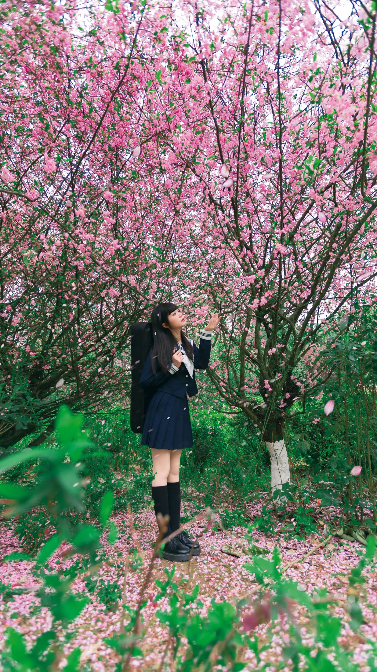 《海棠花下独凑》[27P]