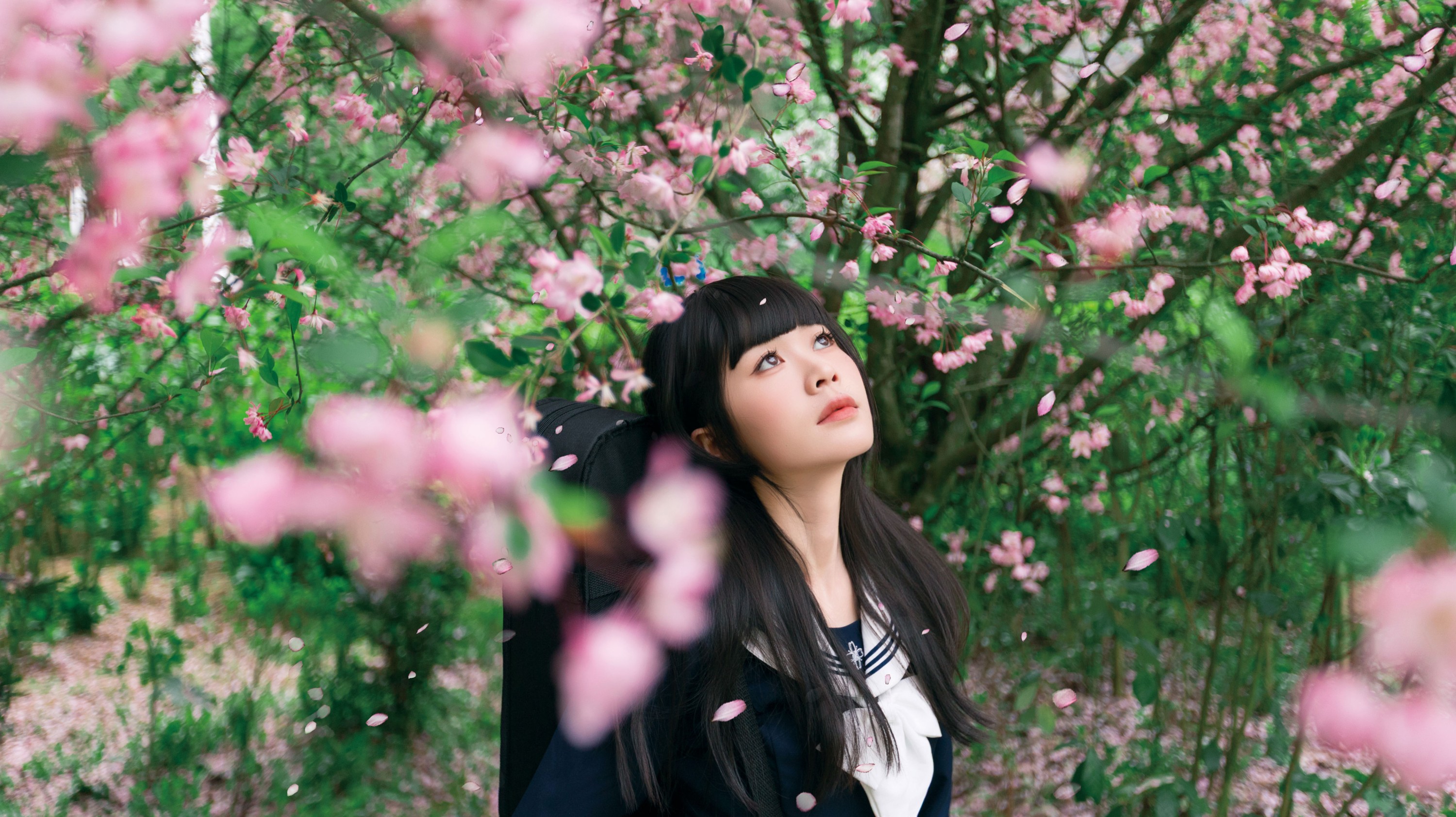 《海棠花下独凑》[27P]
