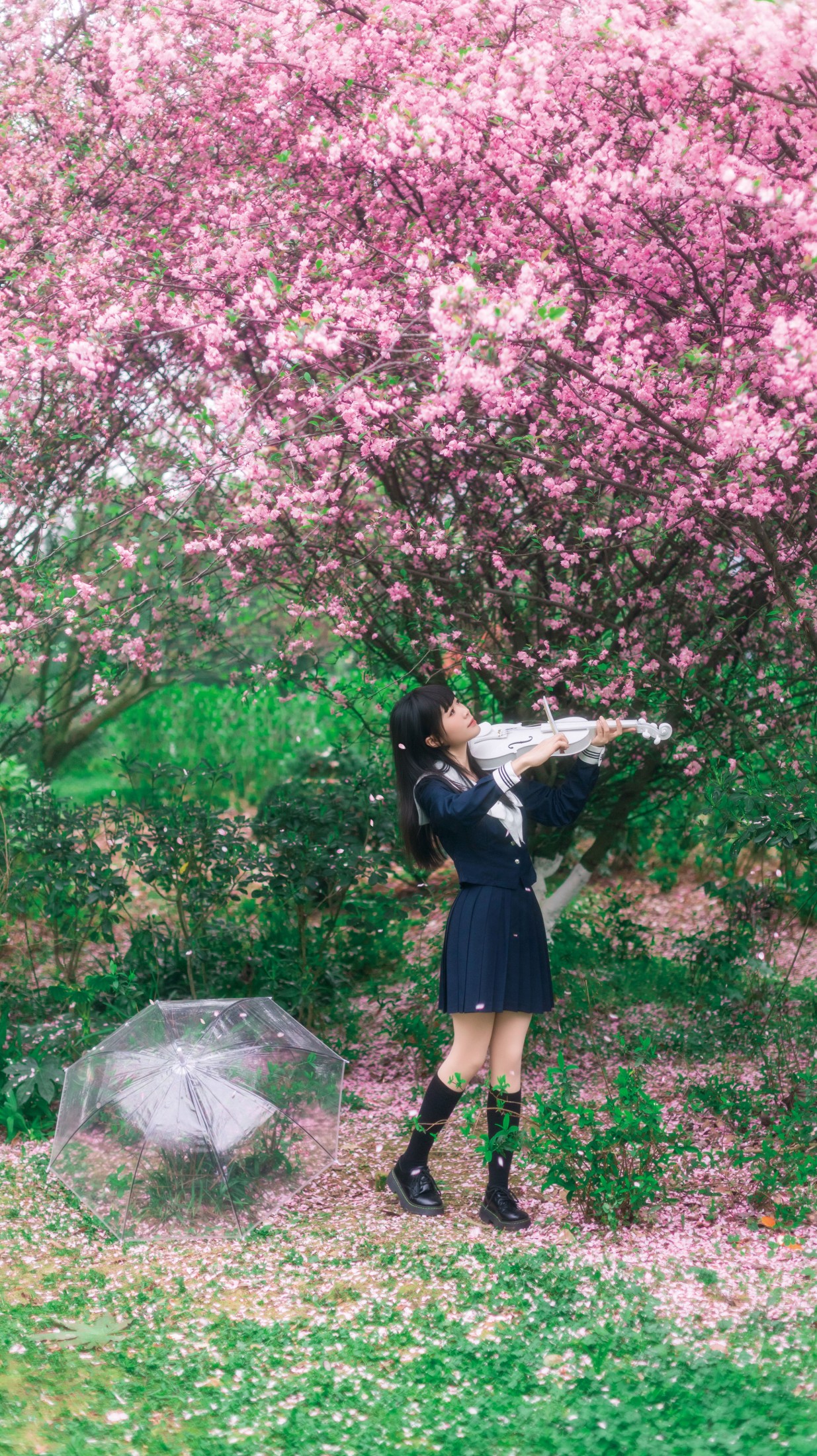 《海棠花下独凑》[27P]