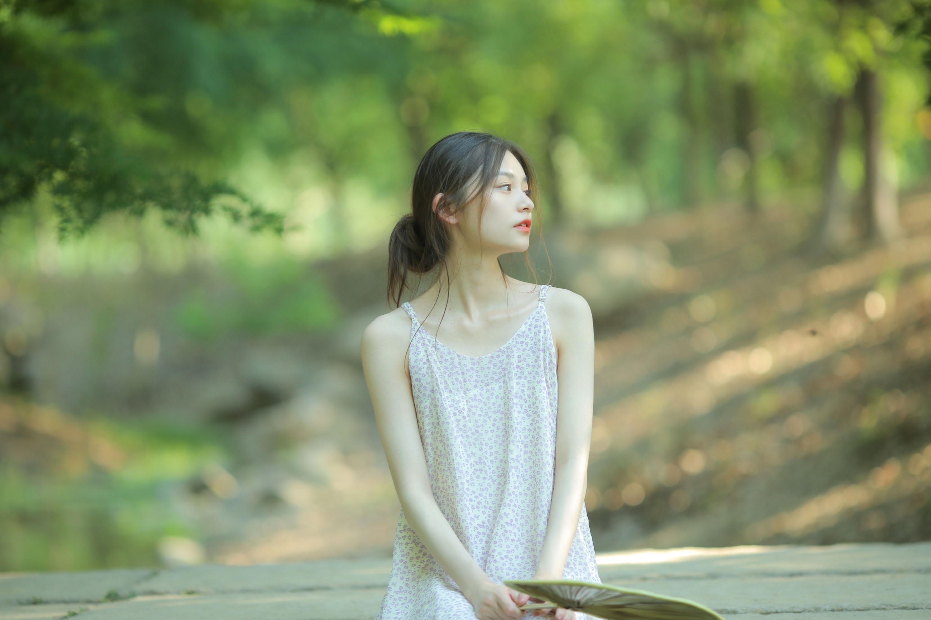 《在小岛的另一半山间小溪旁，有夏天的蝉鸣》[22P]