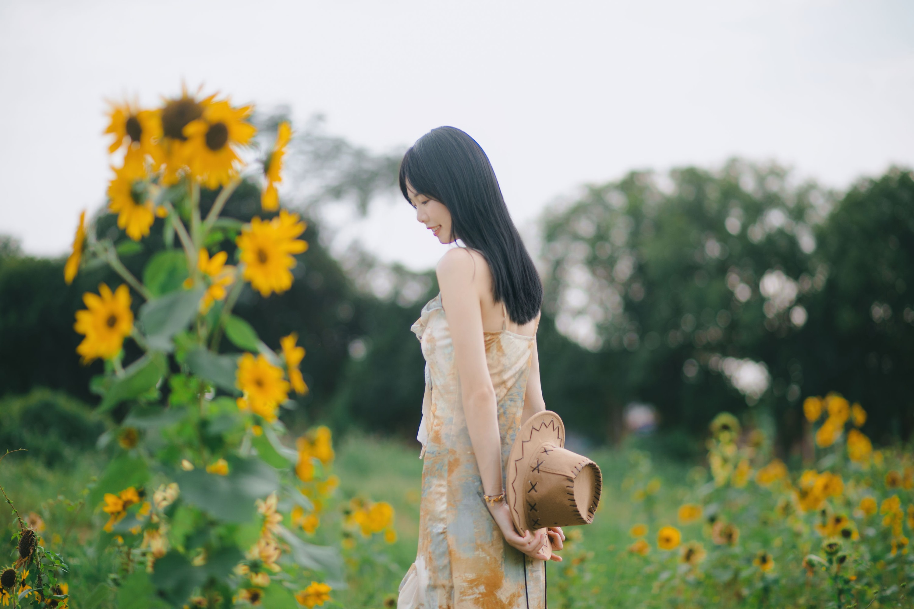 《向日葵有没有我好看》[13P]