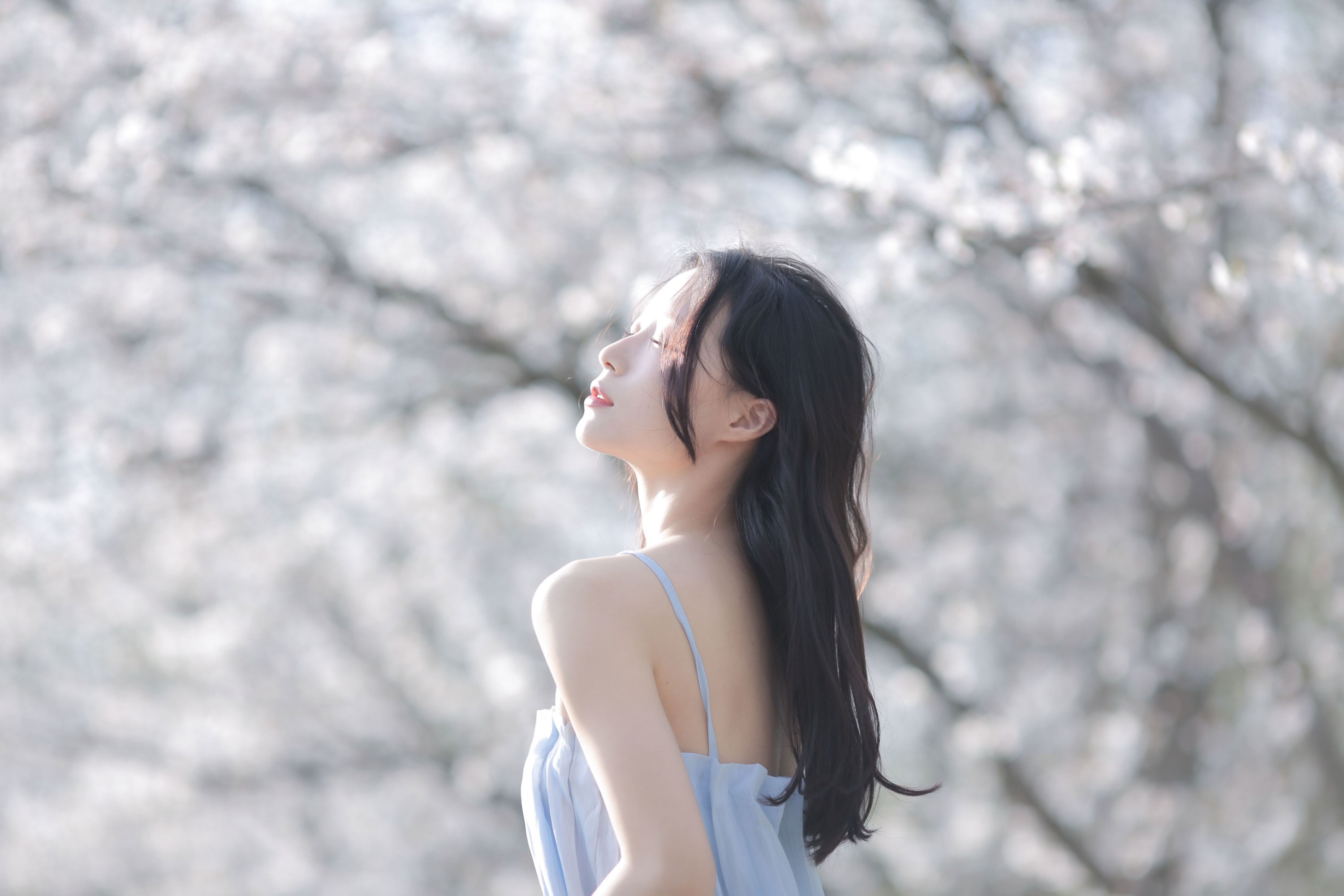 《在樱花车站，等来往春天的巴士》[12P]
