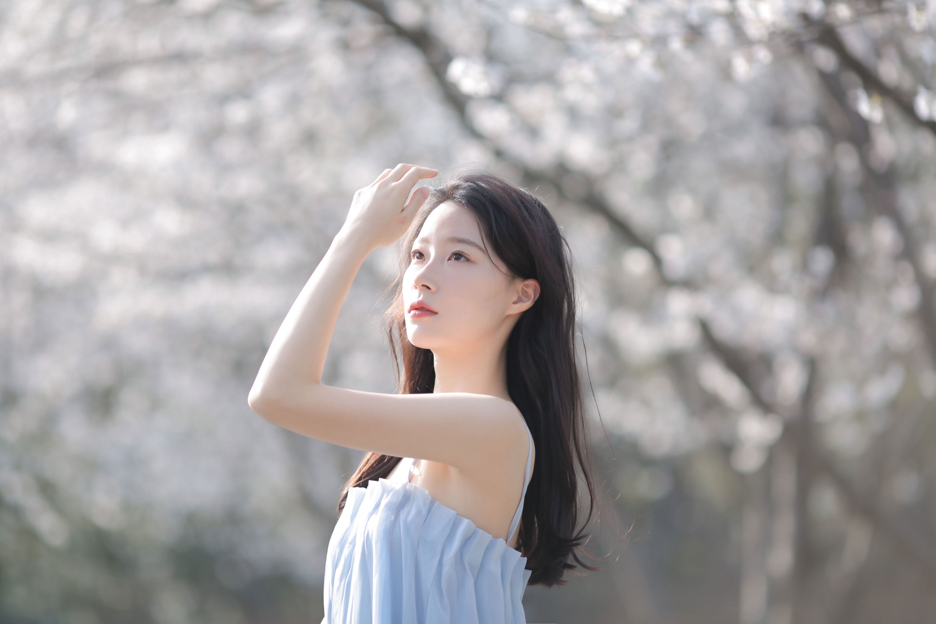 《在樱花车站，等来往春天的巴士》[12P]