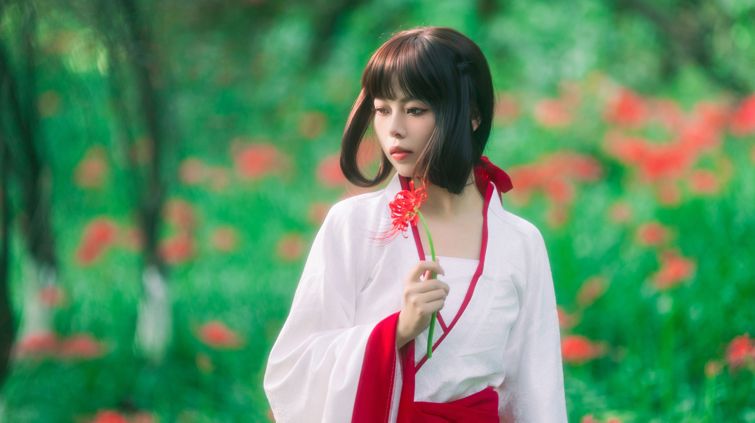 《彼岸之约》[28P]