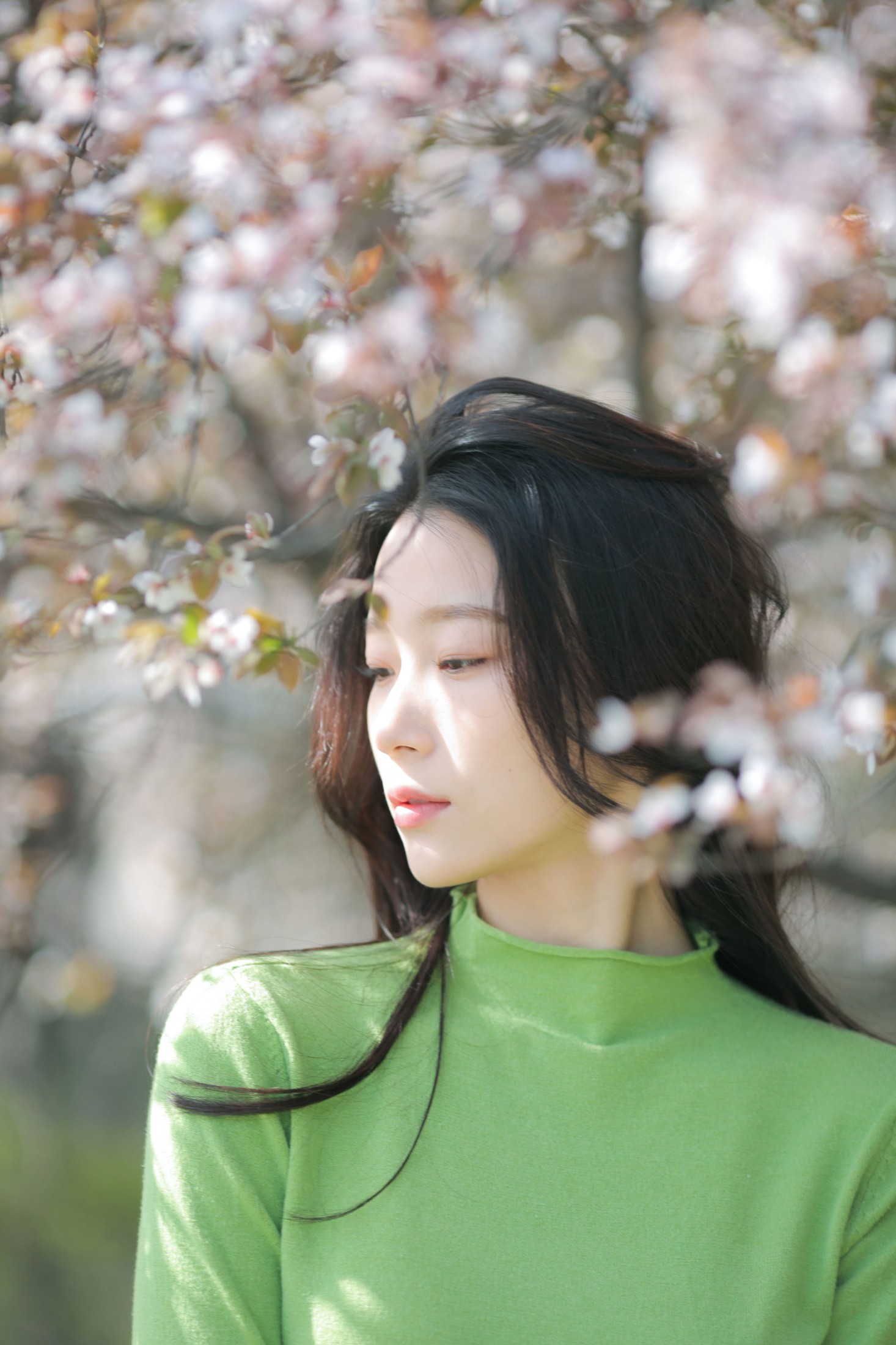 《春风吹》[9P]