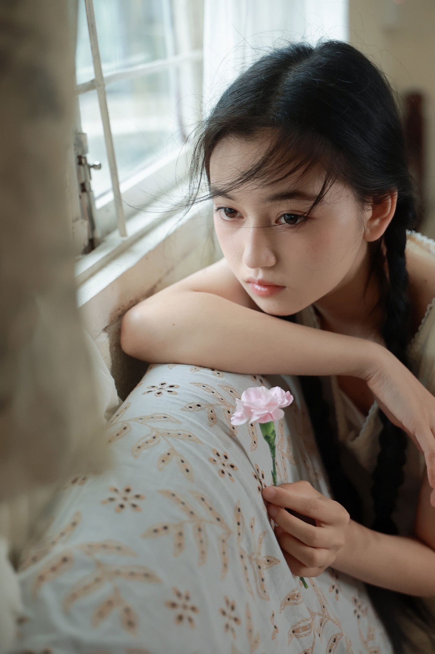 《旧屋光影里，无花果的心事》[20P]