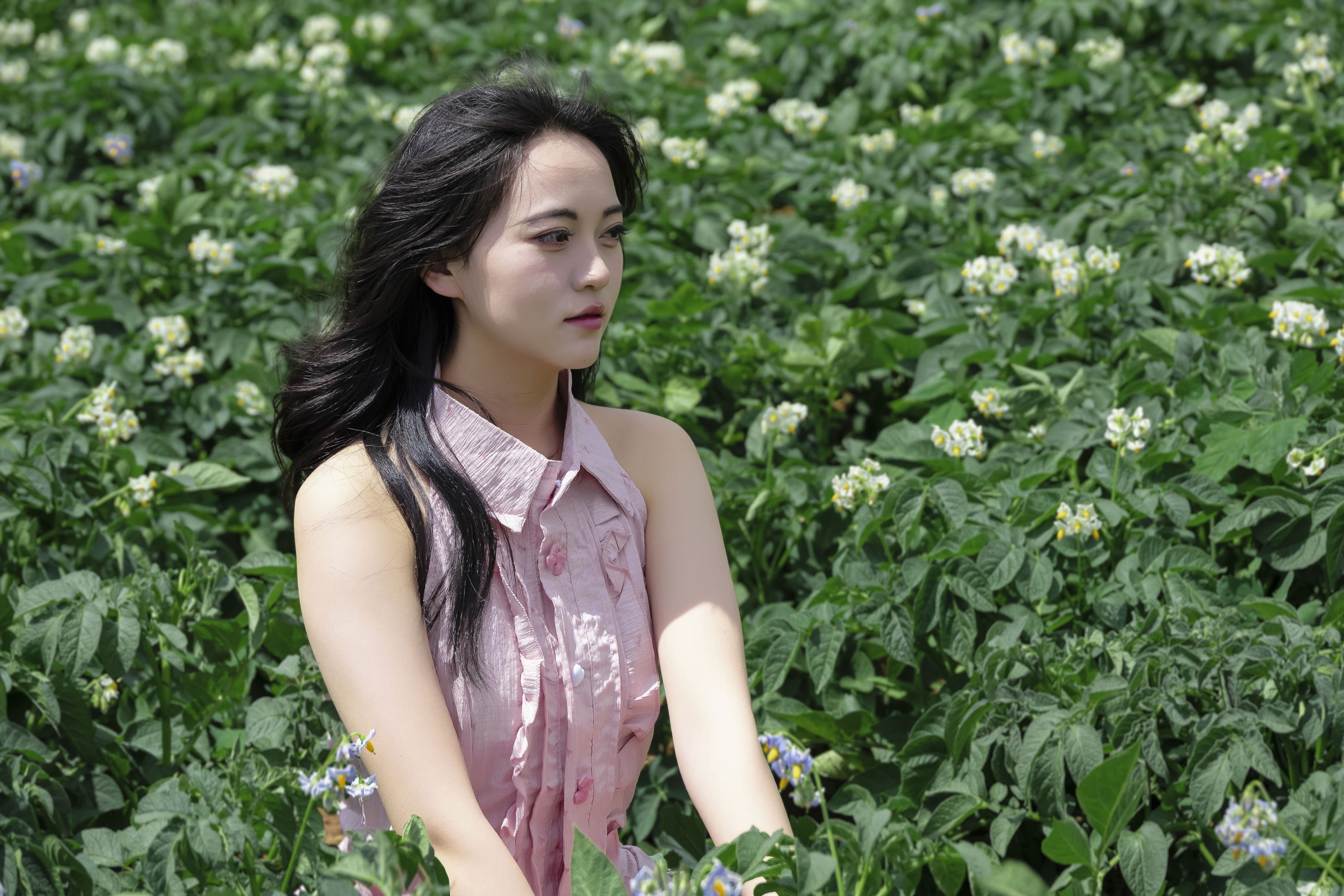 《马铃薯洋芋地粉色美女写真》[10P]