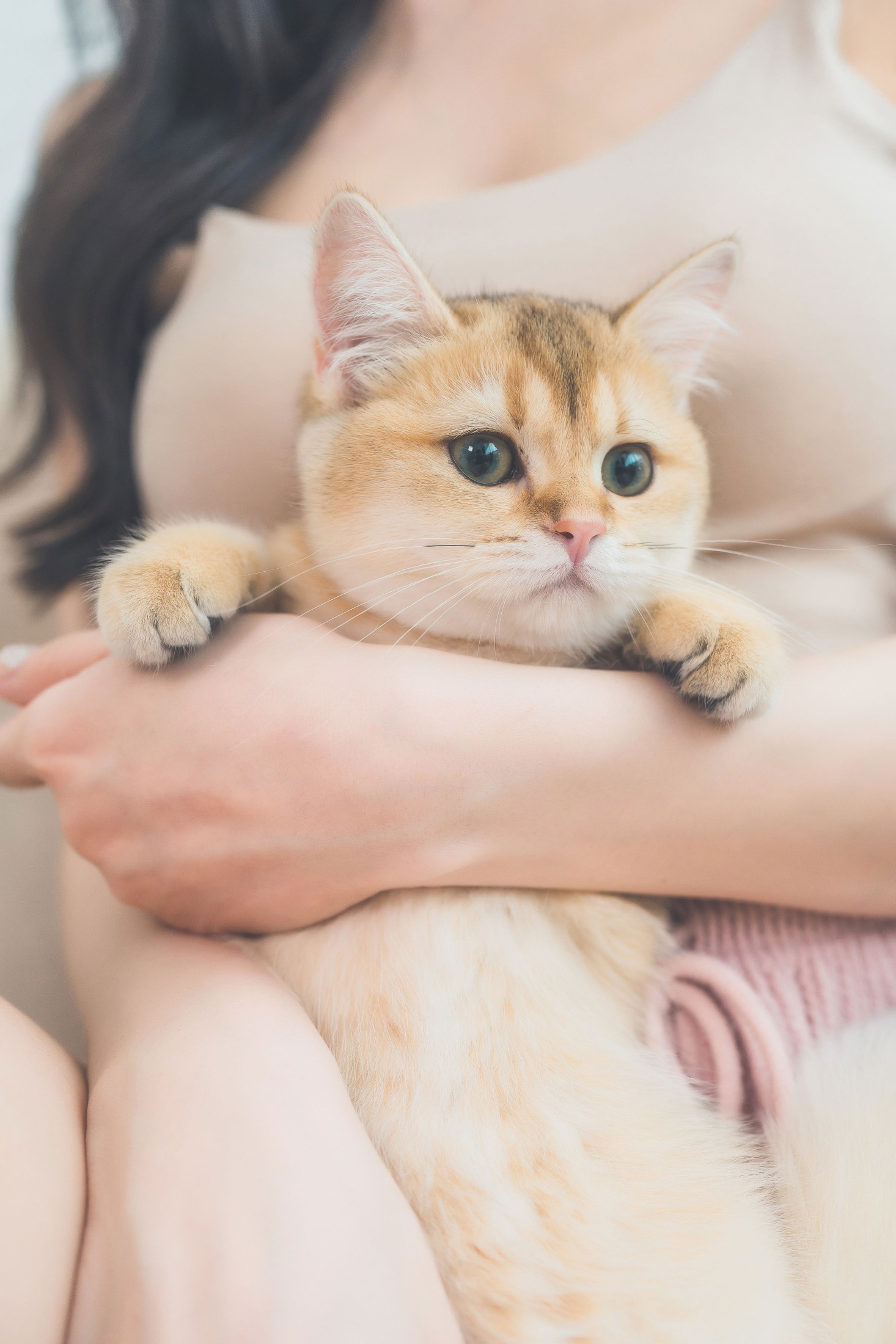 《哈基尼 小猫咪》[10P]