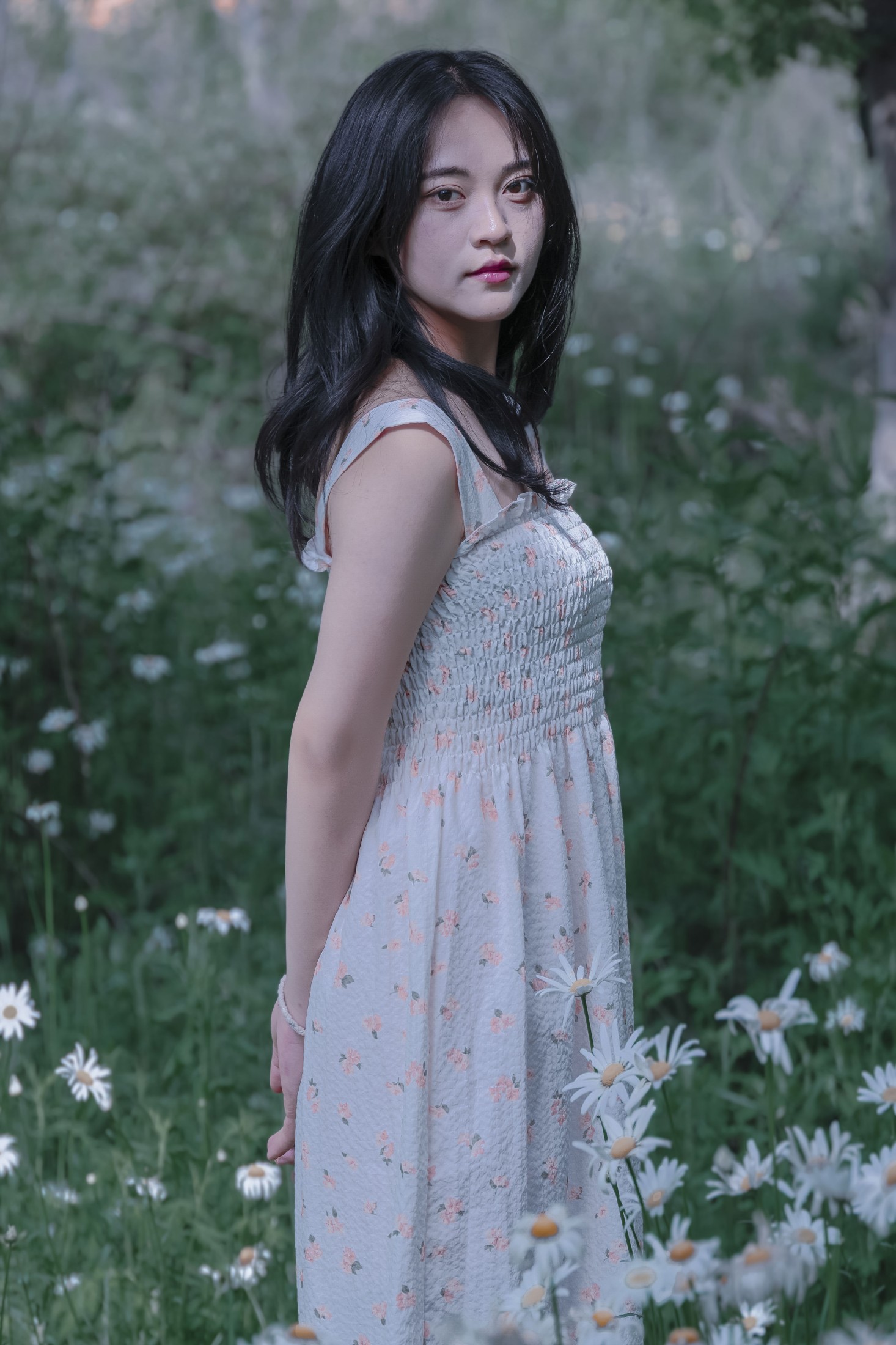 《草地白菊花白衣性感女子写真》[34P]