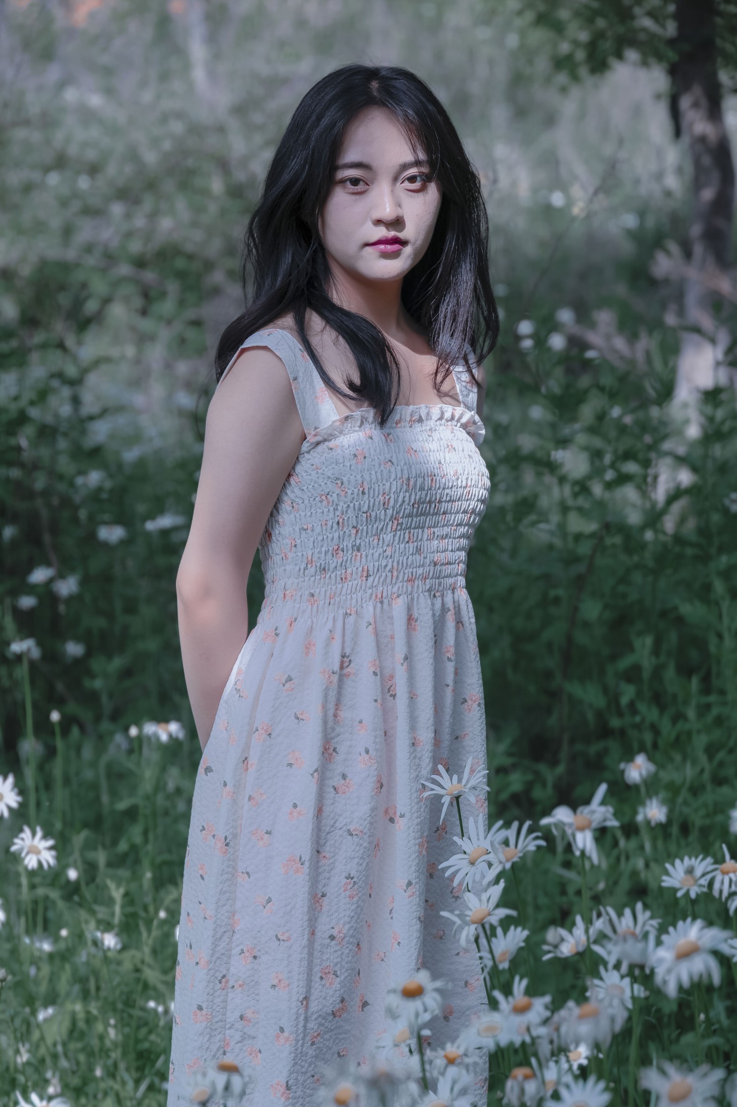 《草地白菊花白衣性感女子写真》[34P]