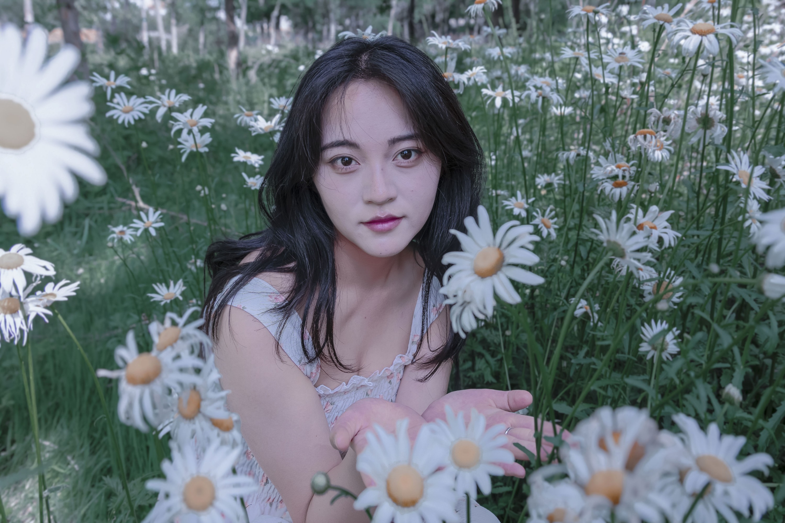《草地白菊花白衣性感女子写真》[34P]