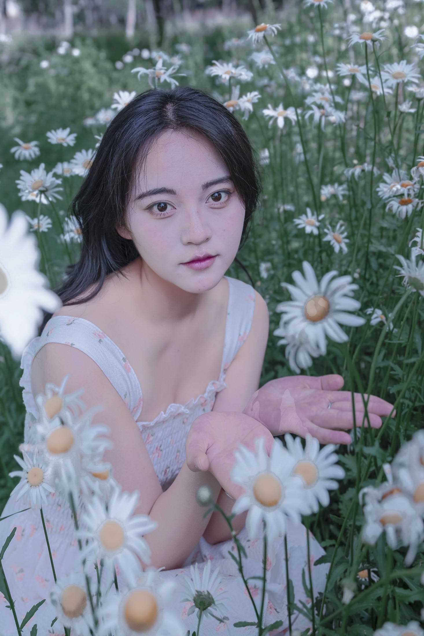 《草地白菊花白衣性感女子写真》[34P]