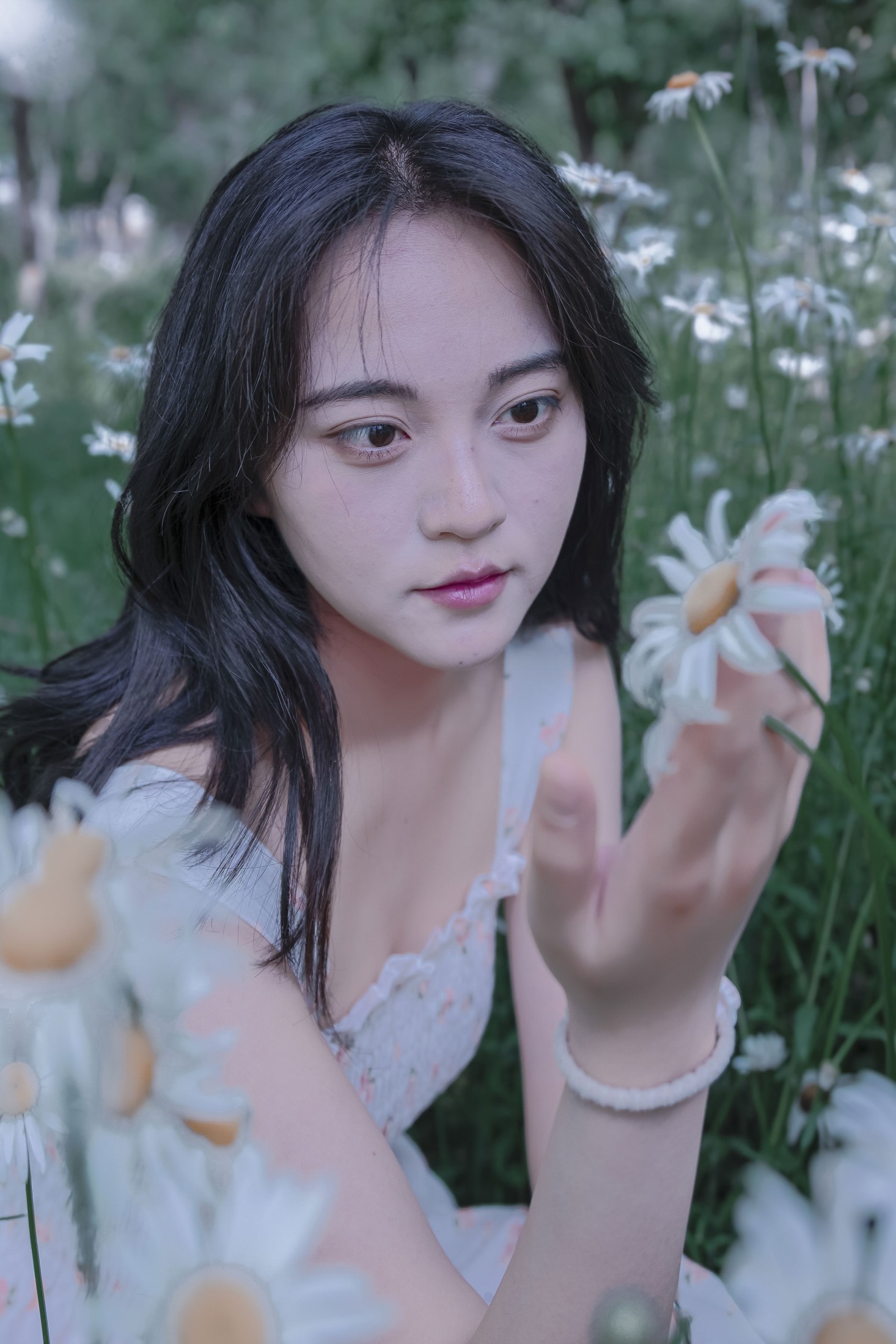 《草地白菊花白衣性感女子写真》[34P]
