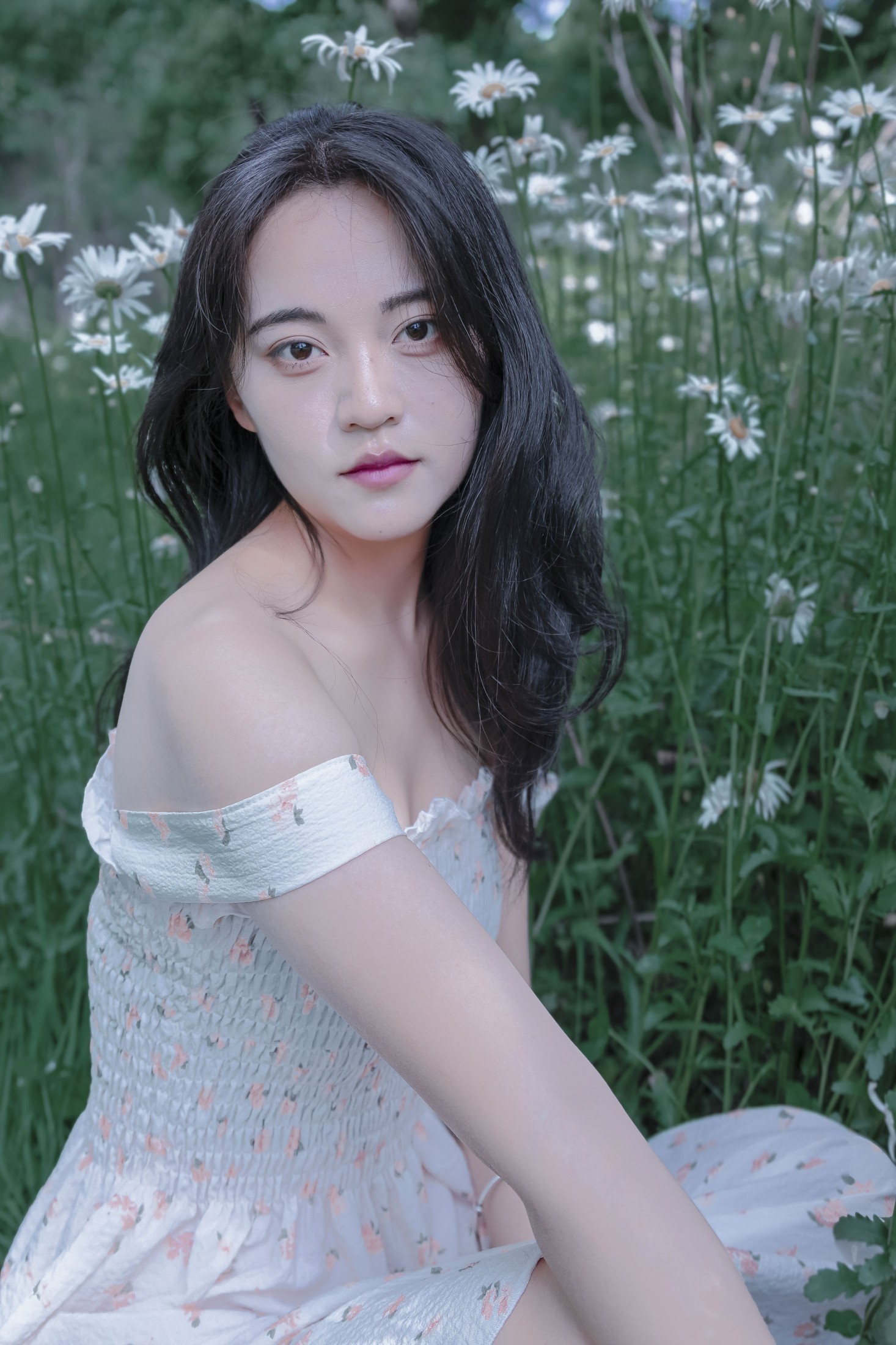 《草地白菊花白衣性感女子美女写真》[29P]