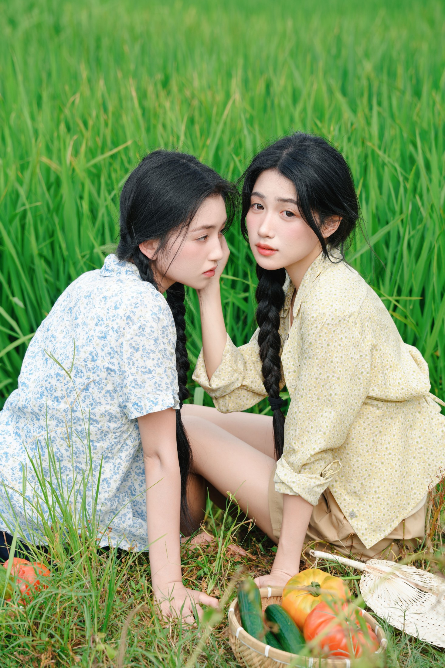 《稻田边的少女》[13P]
