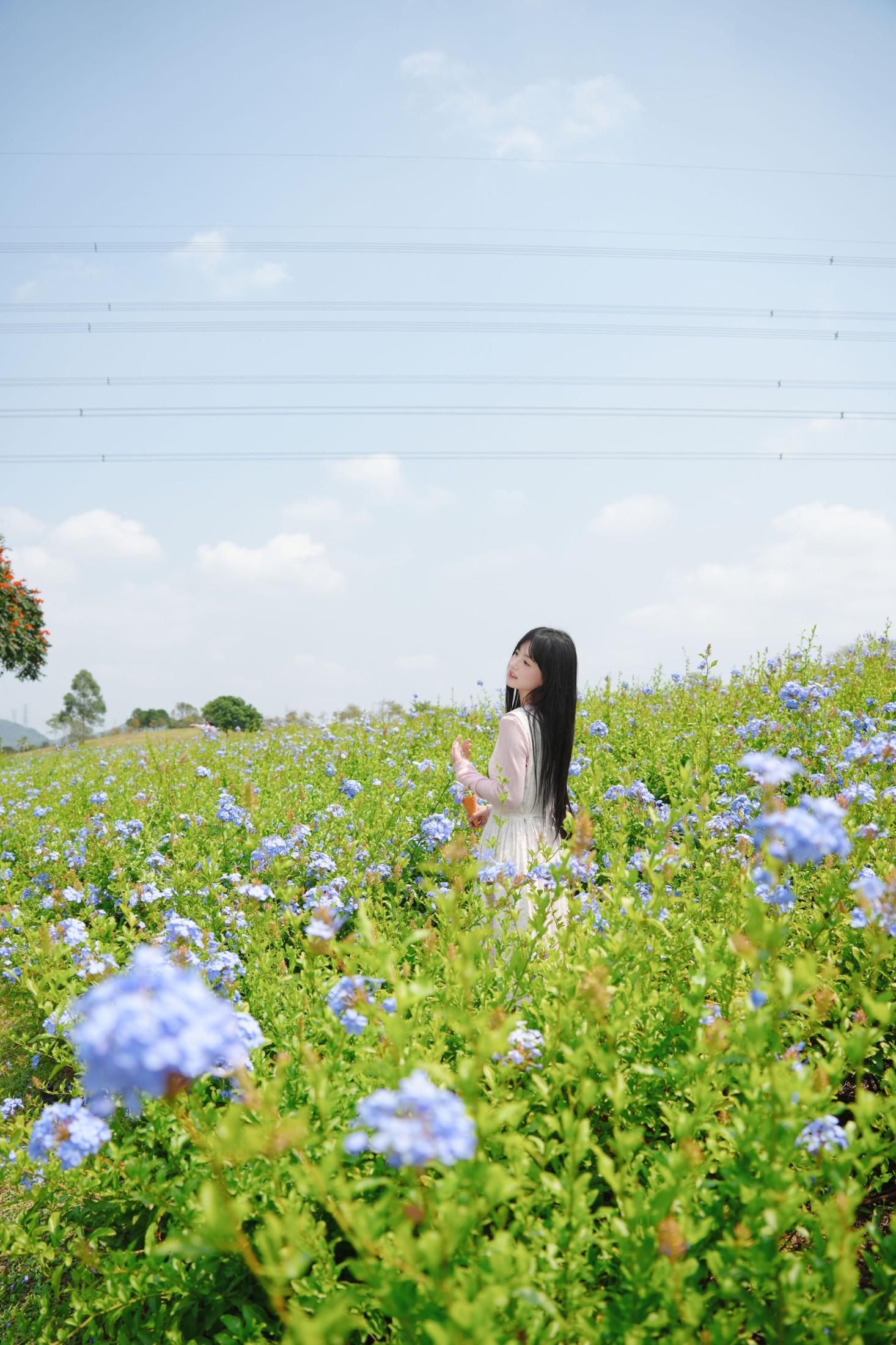 《可爱的山坡少女》[11P]