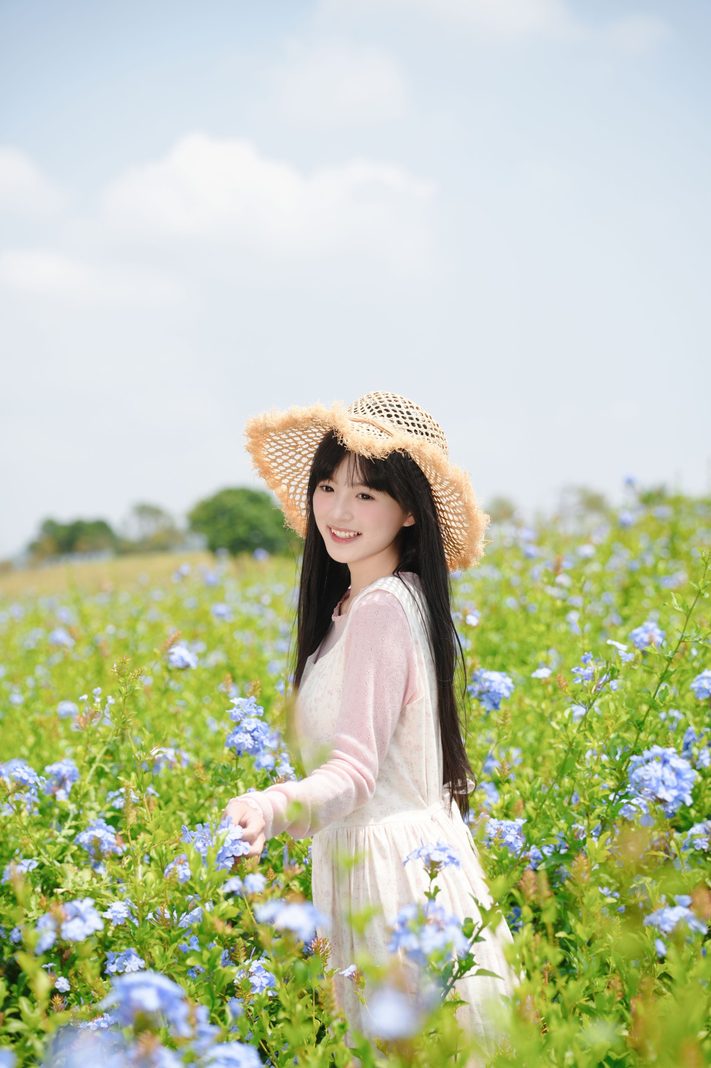 《可爱的山坡少女》[11P]