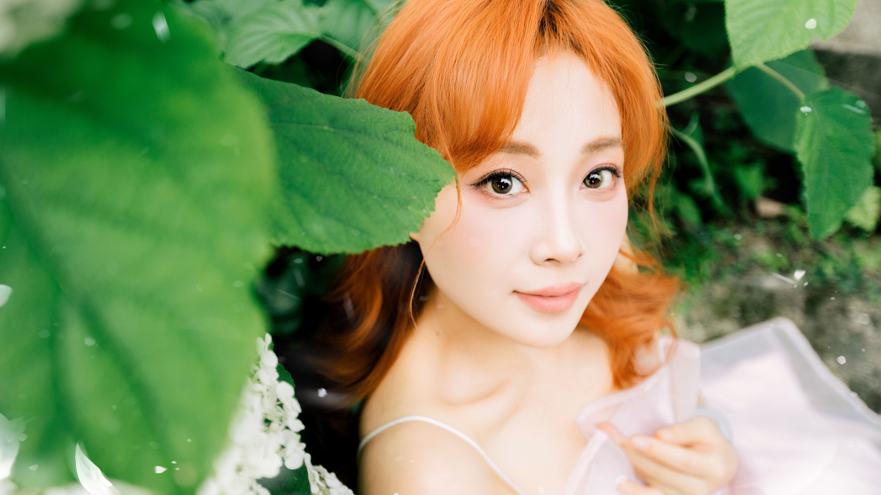 《绣球与夏的告白》[23P]