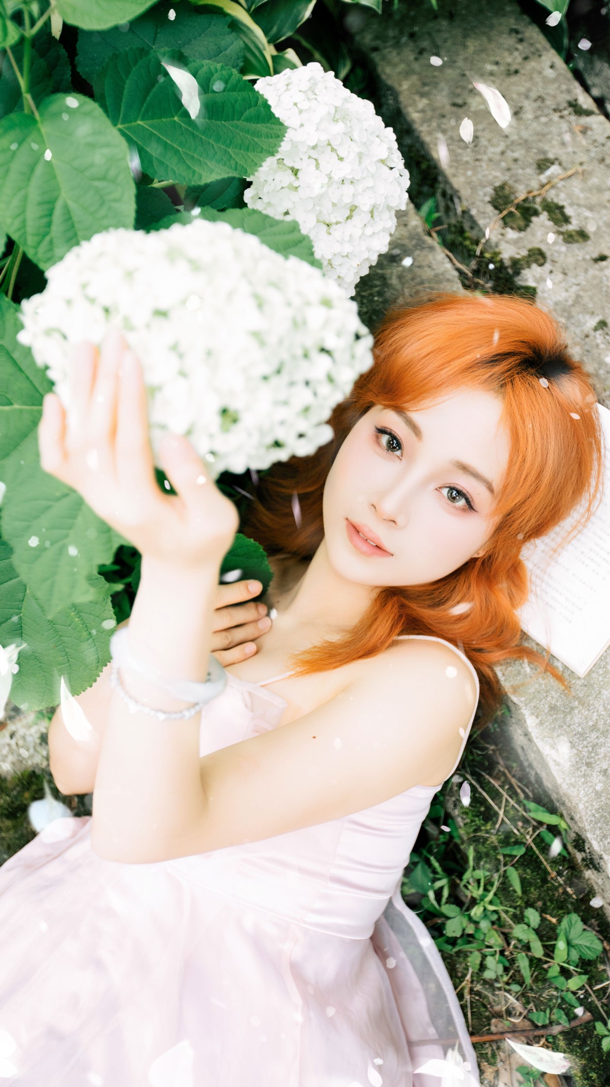 《绣球与夏的告白》[23P]