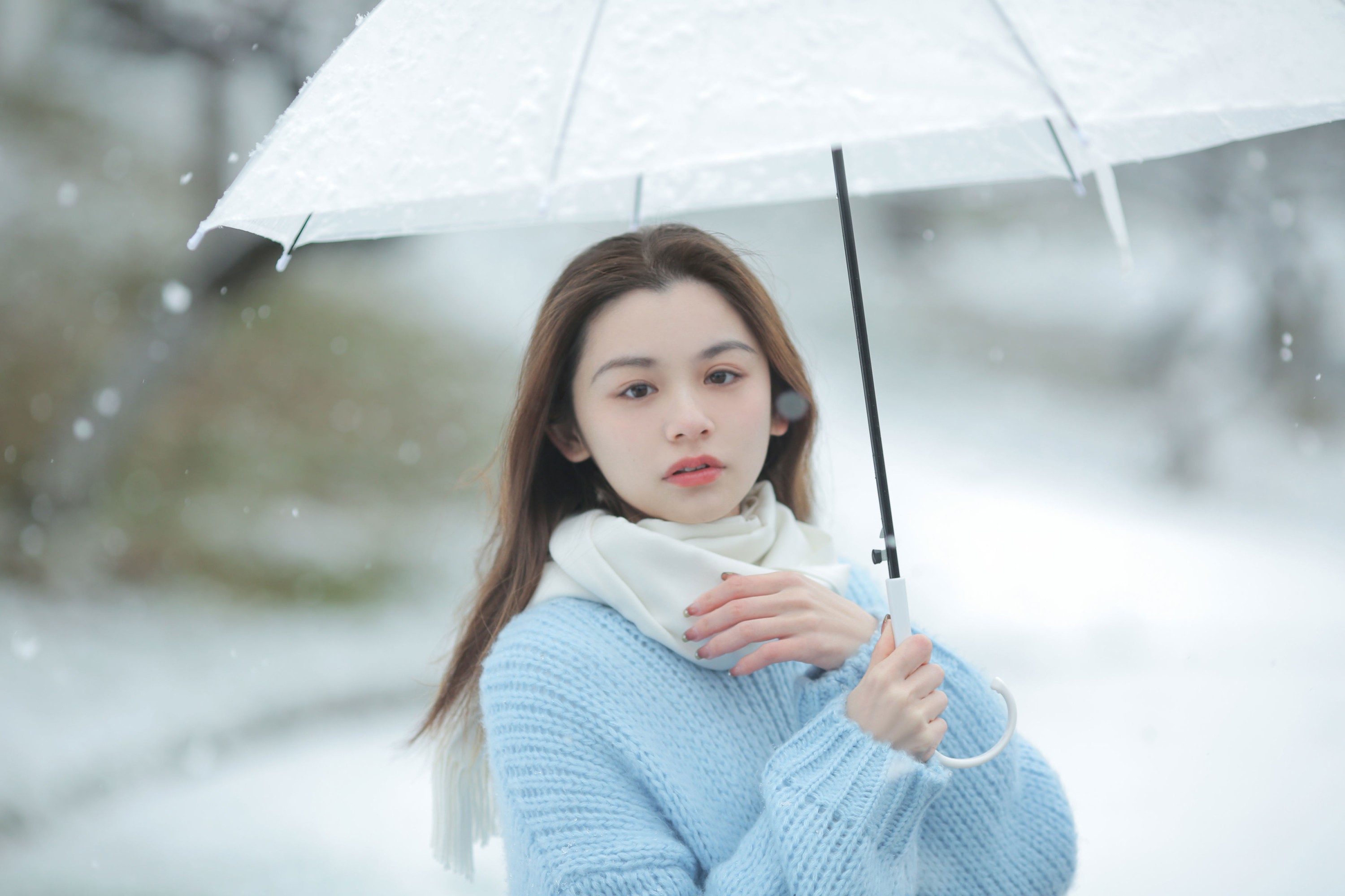 《我画一只飞鸟，衔着白雪飞去》[11P]